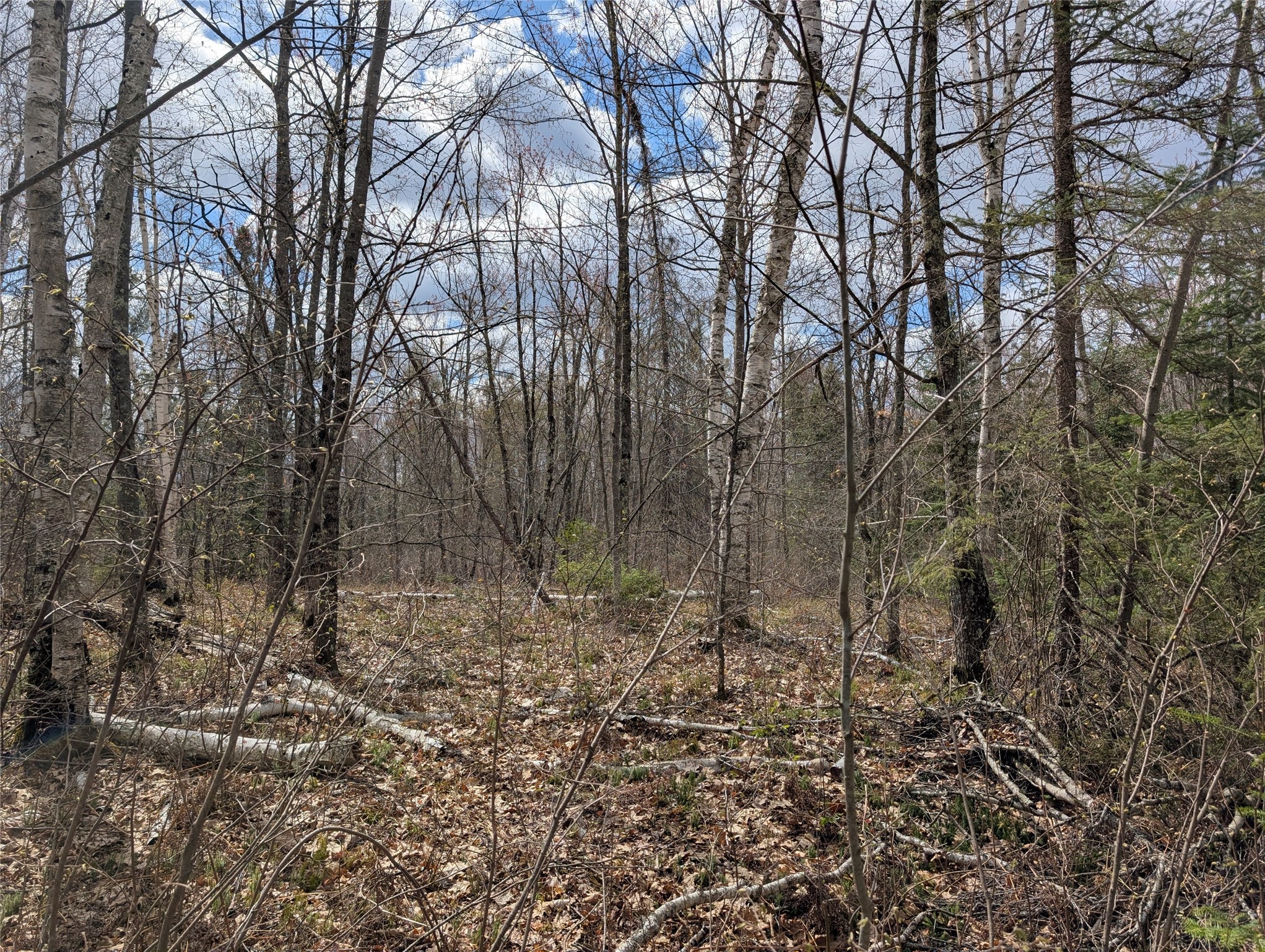 15138 S Crotte Brook Trail Property Photo 44