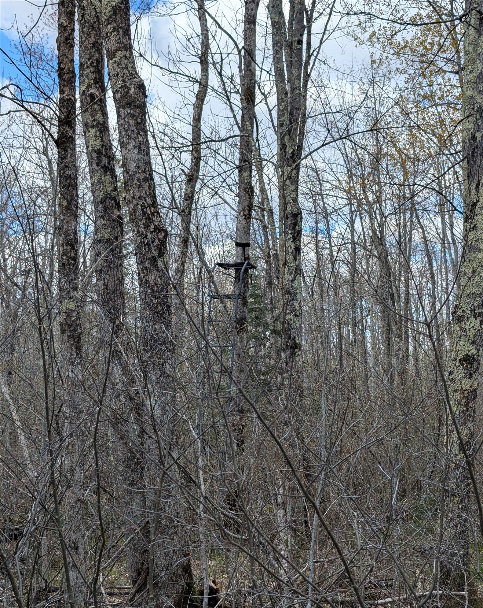 15138 S Crotte Brook Trail Property Photo 46