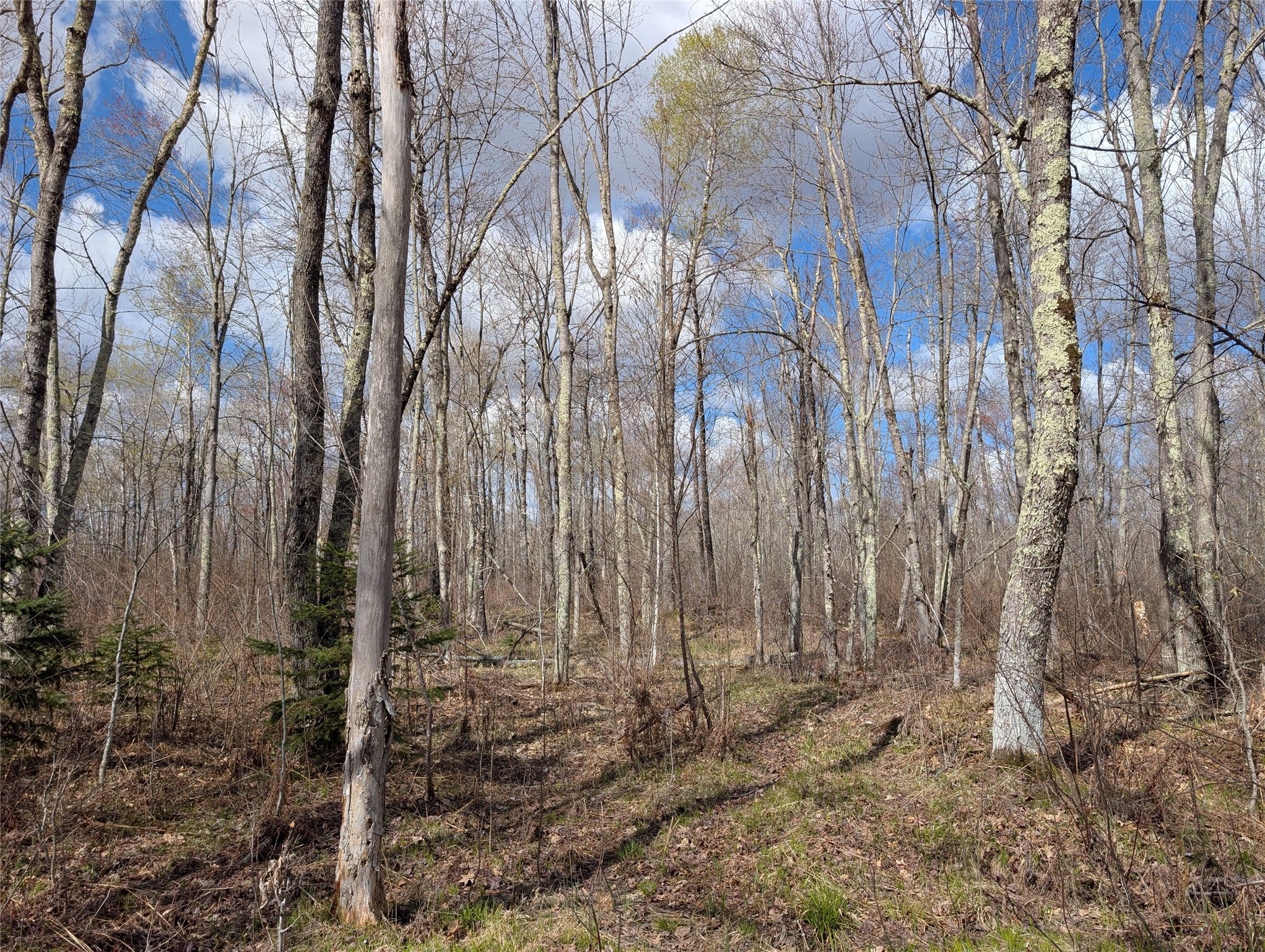 15138 S Crotte Brook Trail Property Photo 47
