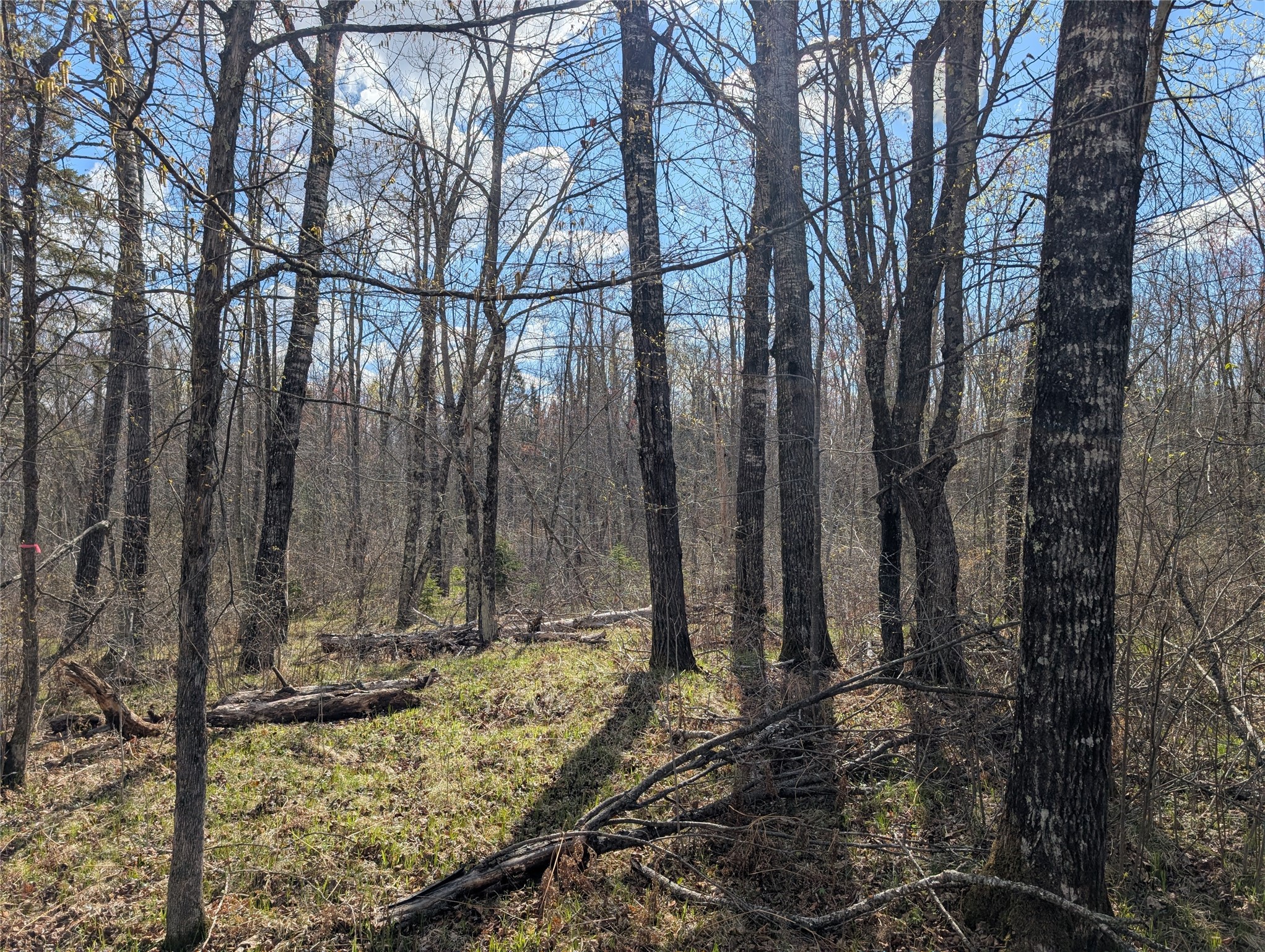 15138 S Crotte Brook Trail Property Photo 49