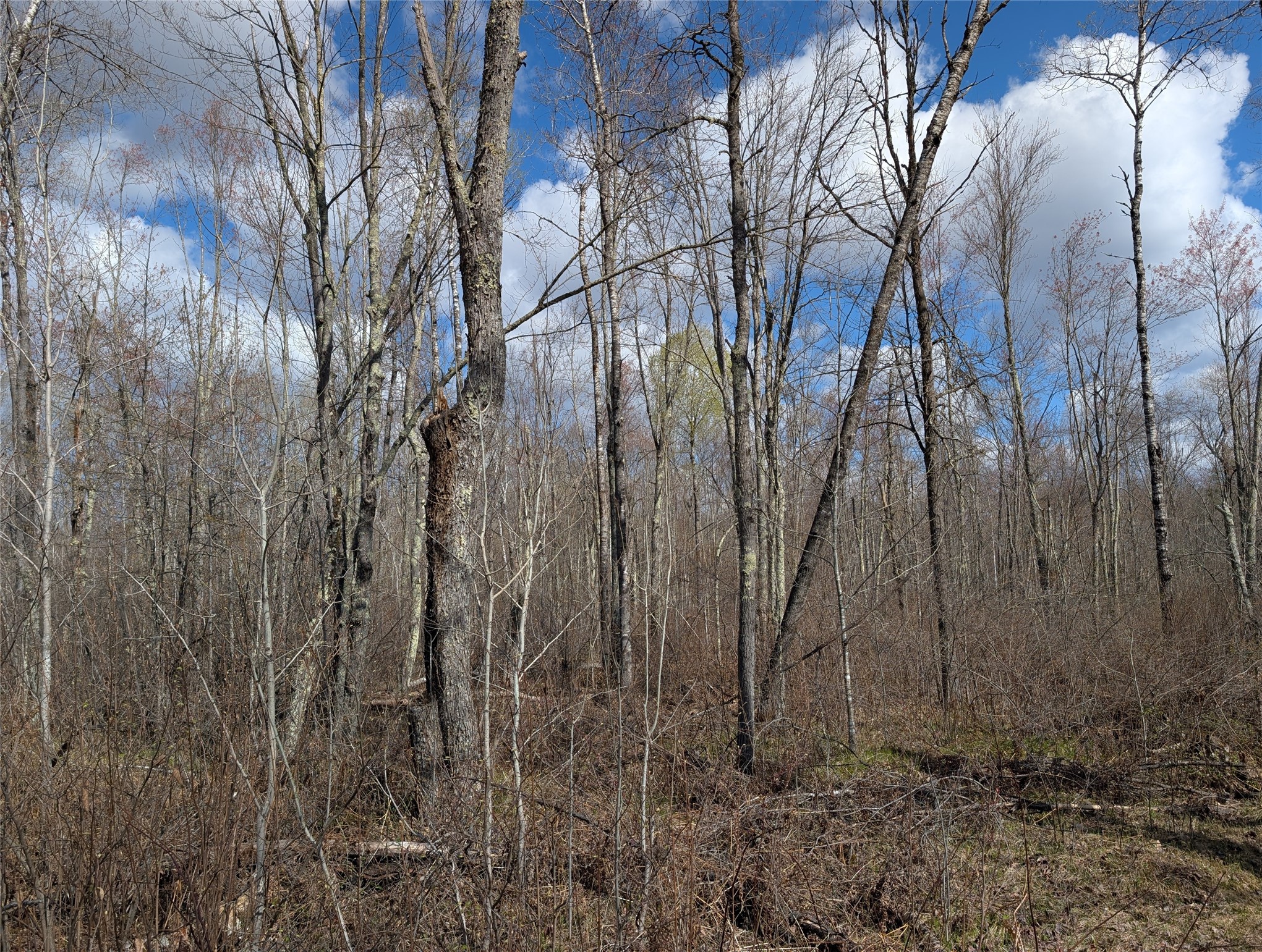 15138 S Crotte Brook Trail Property Photo 51
