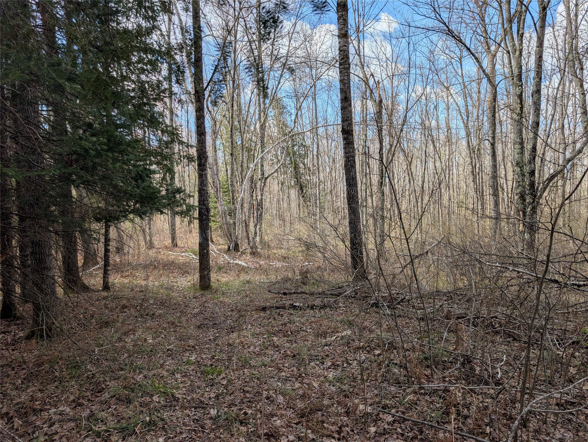 15138 S Crotte Brook Trail Property Photo 52