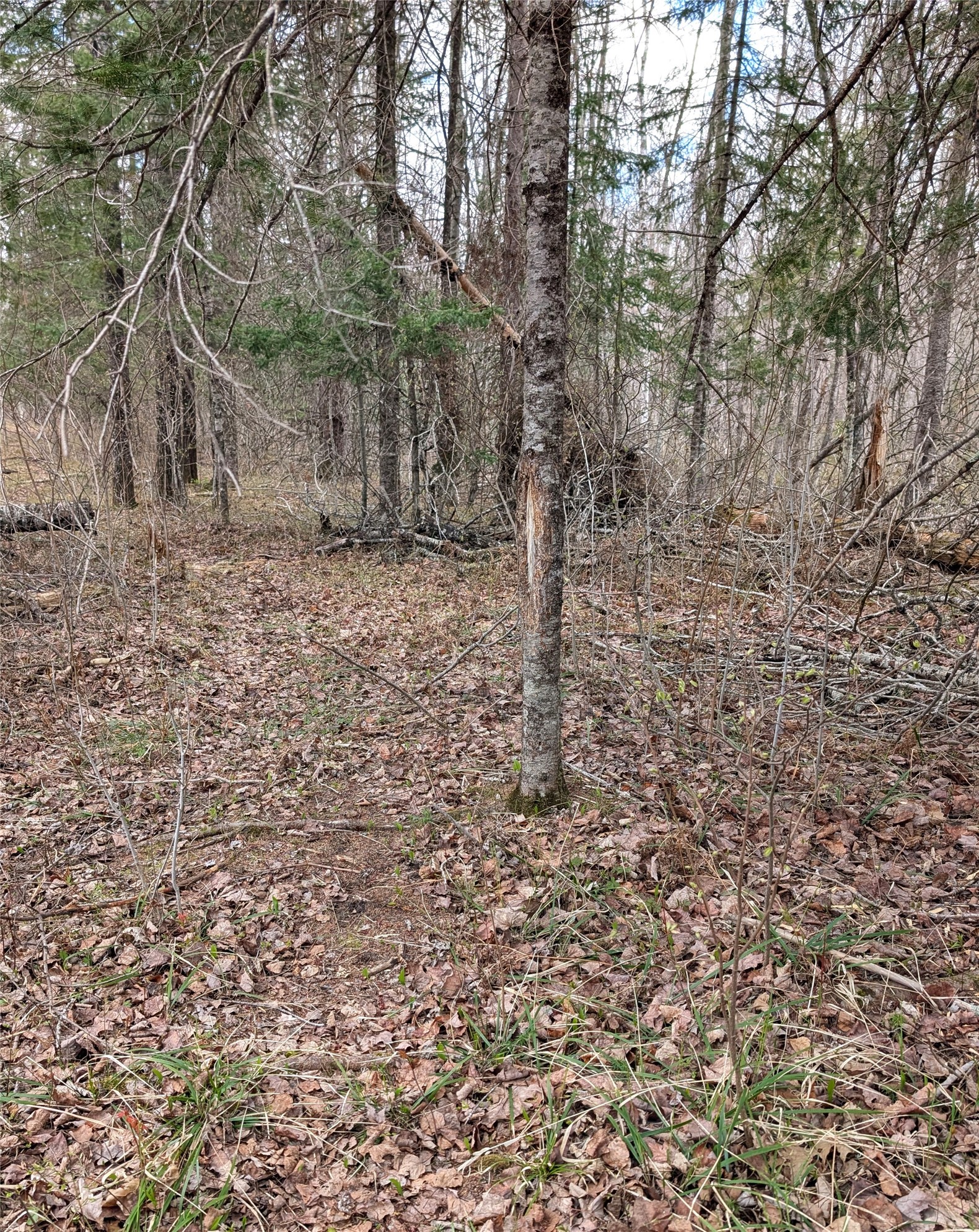 15138 S Crotte Brook Trail Property Photo 53