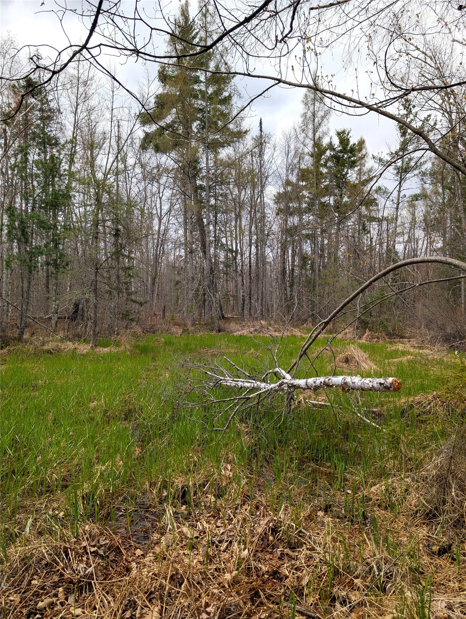 15138 S Crotte Brook Trail Property Photo 55