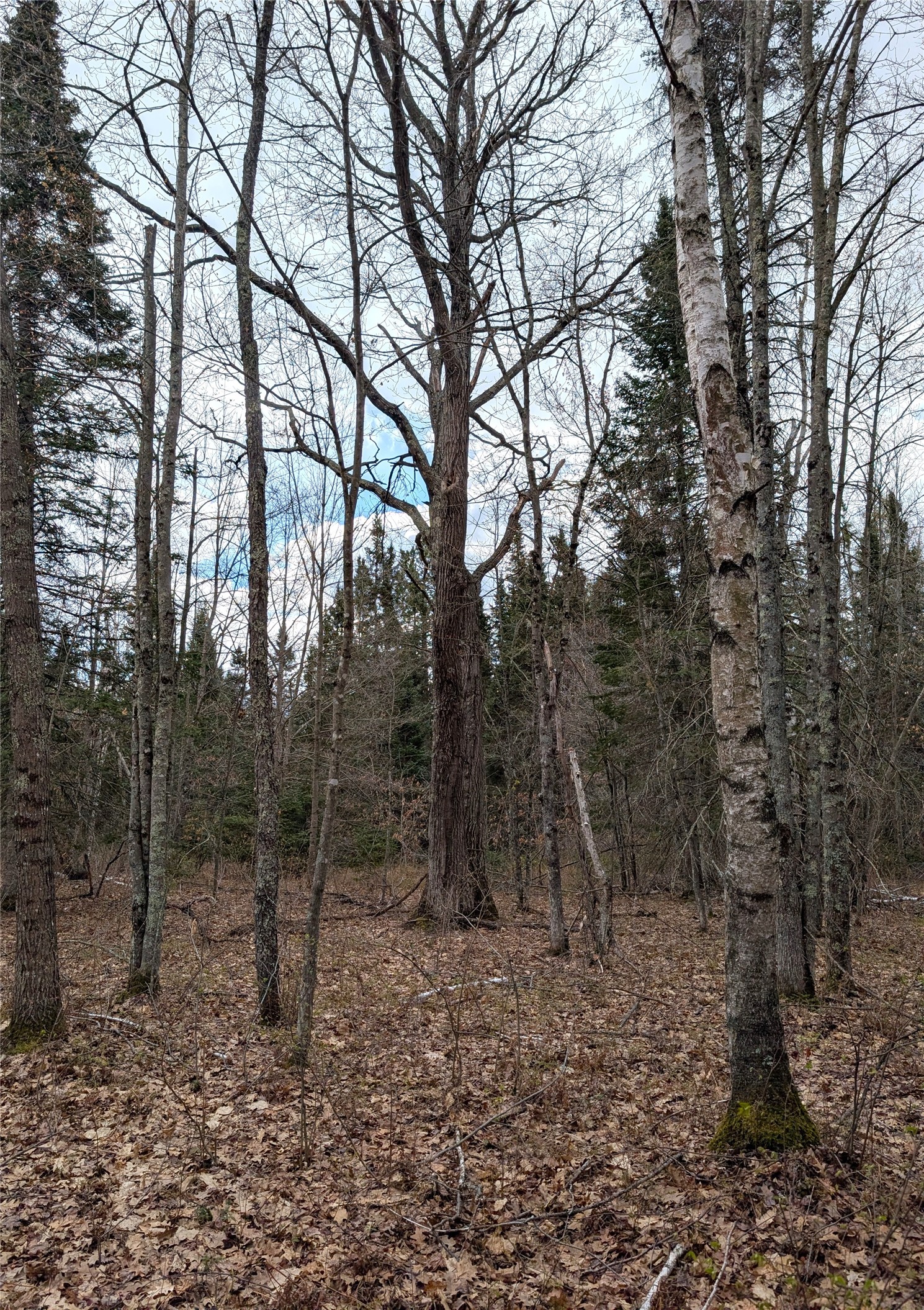 15138 S Crotte Brook Trail Property Photo 57