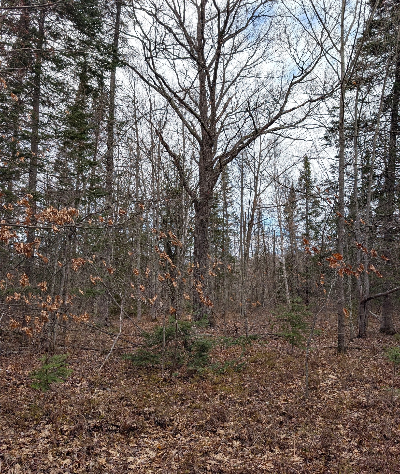 15138 S Crotte Brook Trail Property Photo 58