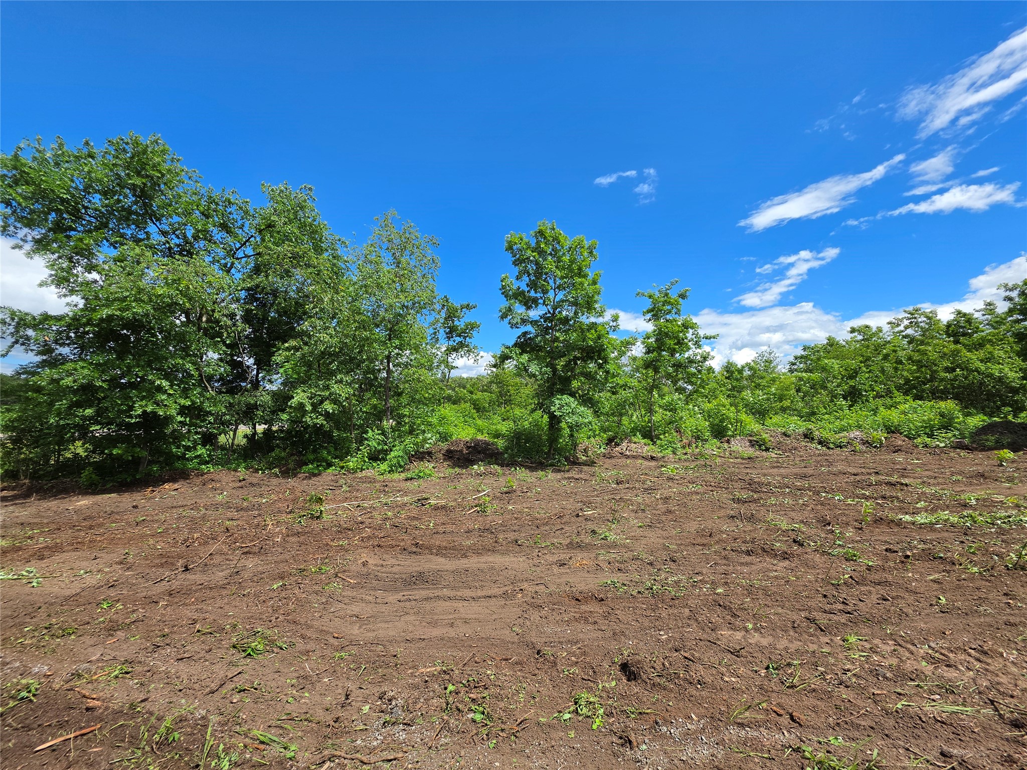 Lot 3 County Highway E Property Photo 4