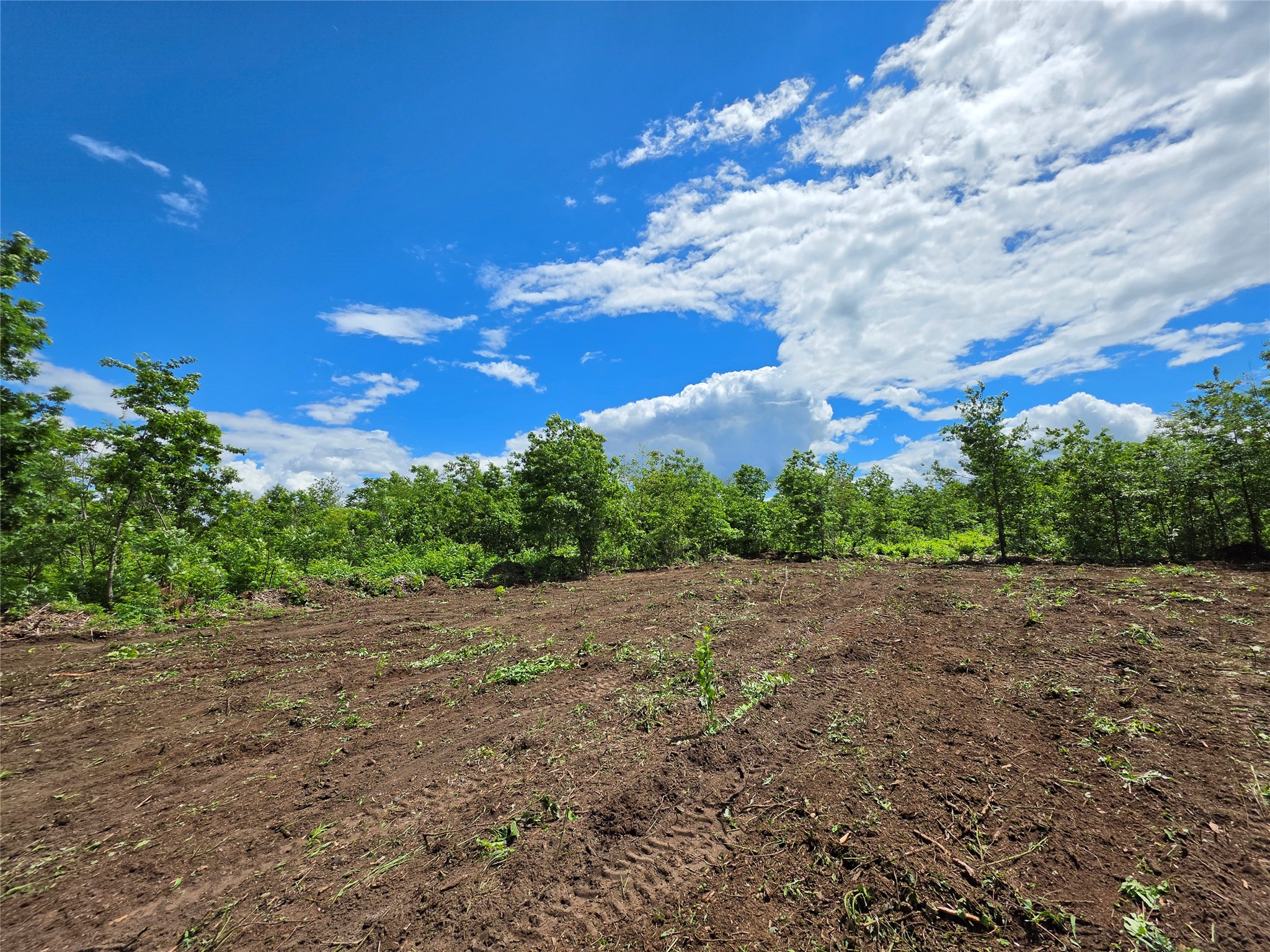 Lot 3 County Highway E Property Photo 5