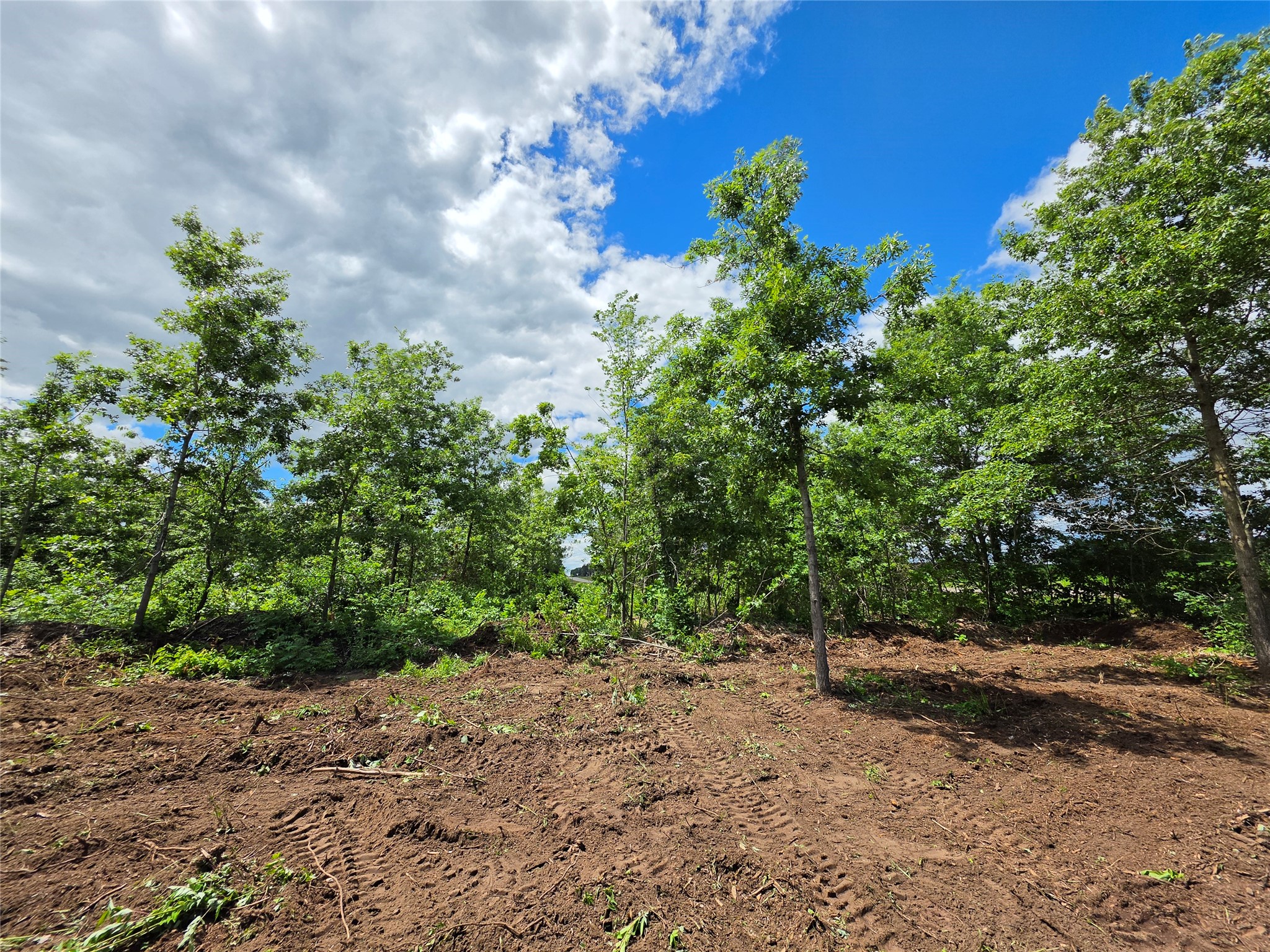 Lot 3 County Highway E Property Photo 6