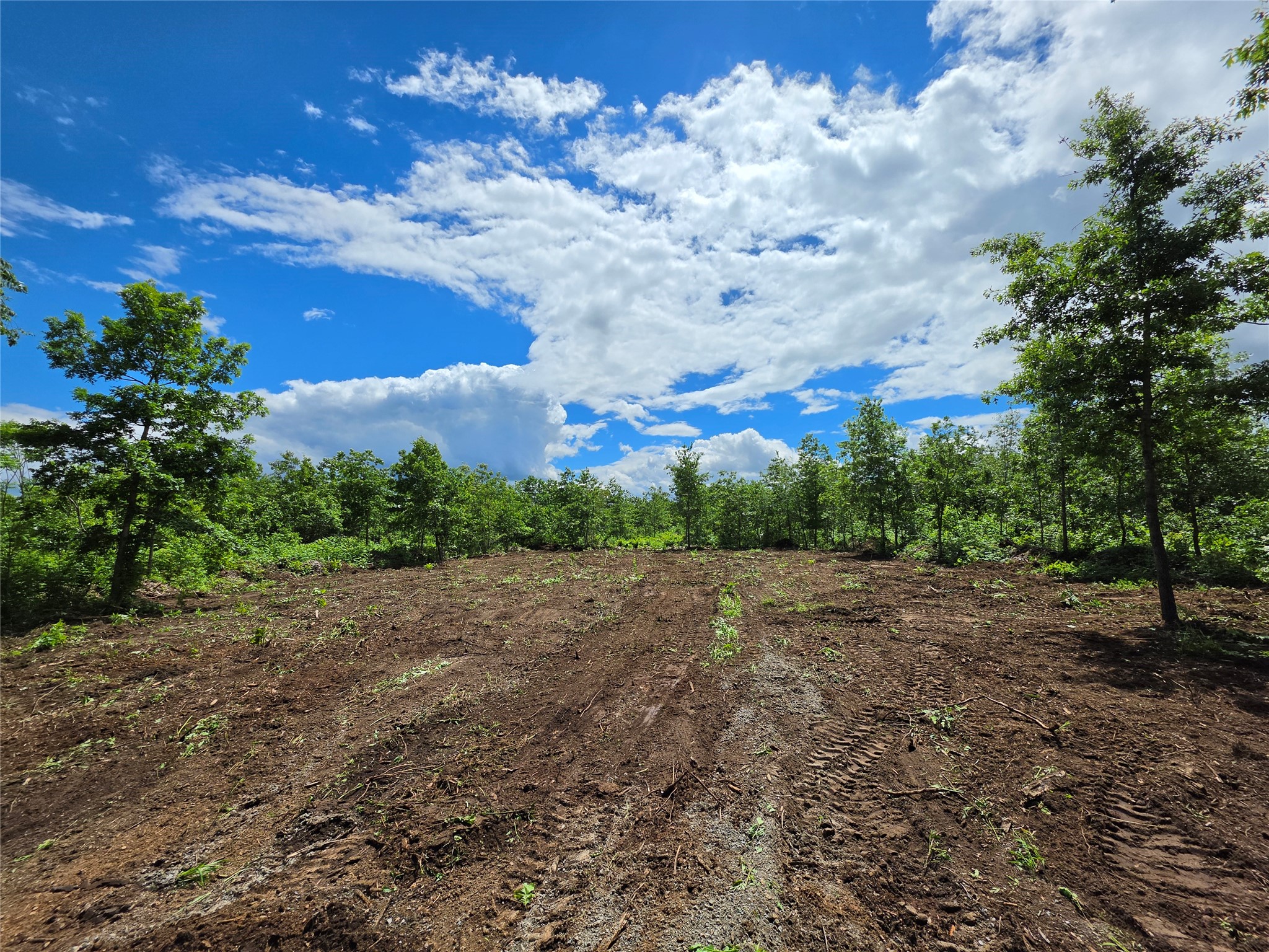 Lot 3 County Highway E Property Photo 7