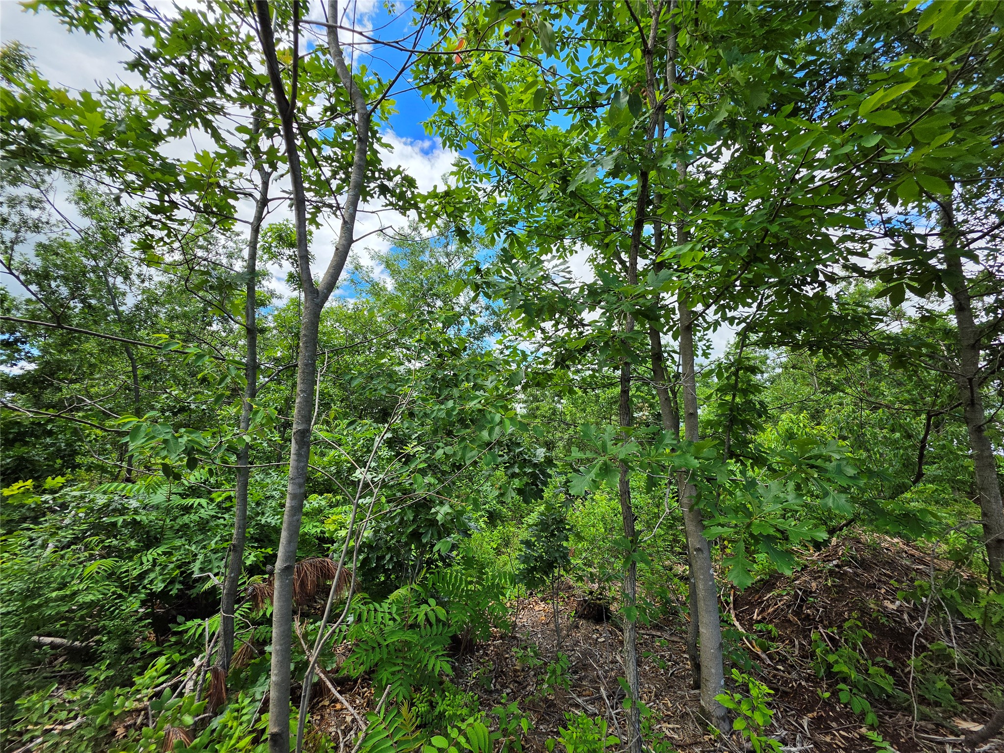 Lot 3 County Highway E Property Photo 8