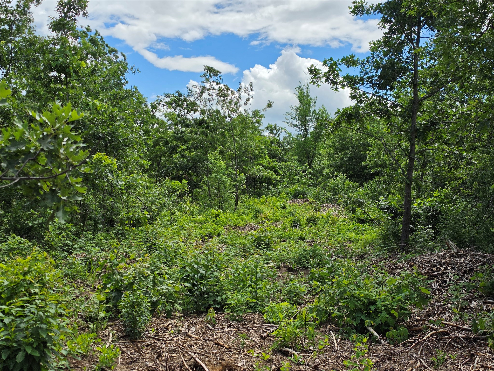 Lot 3 County Highway E Property Photo 9