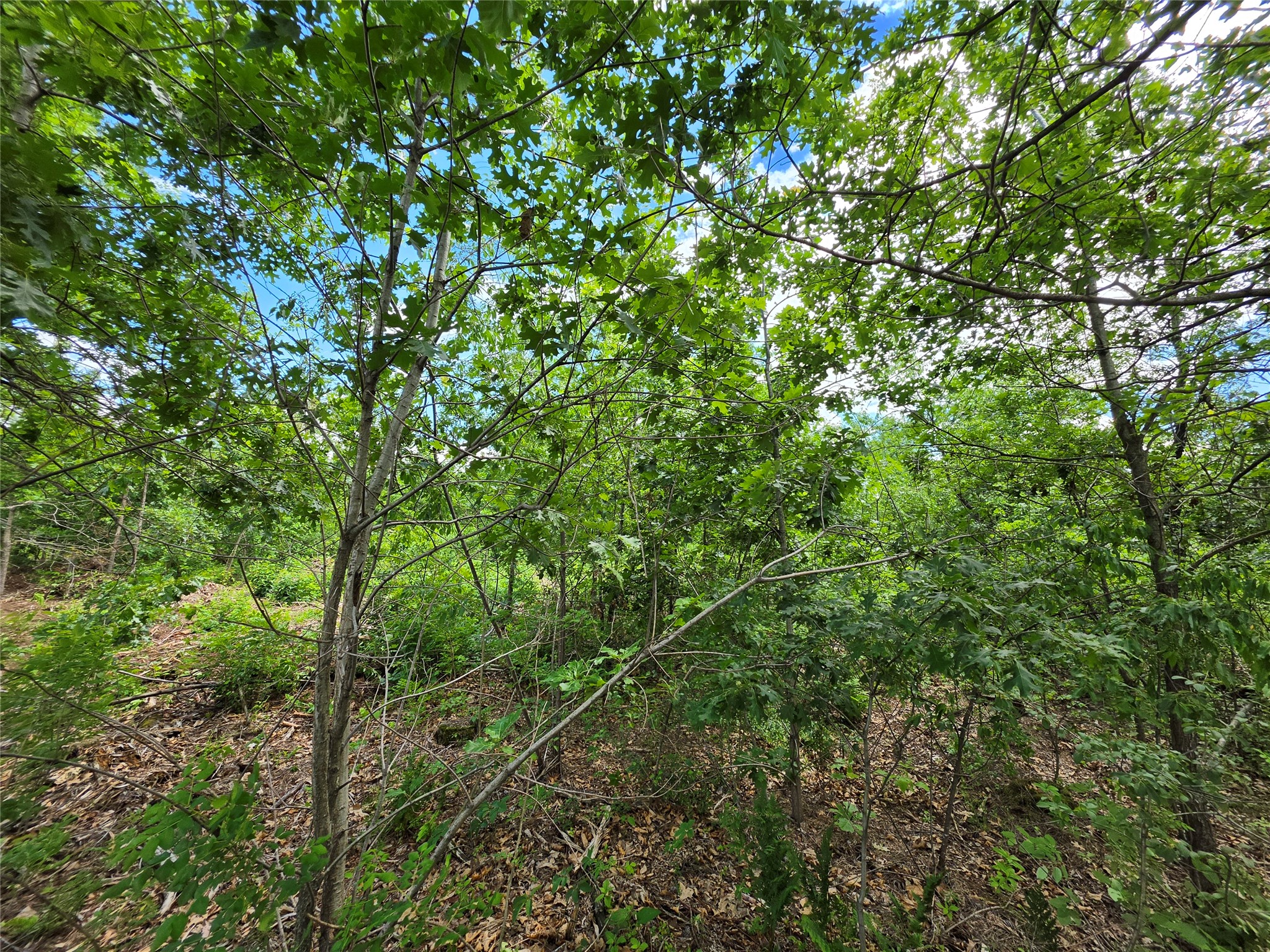 Lot 3 County Highway E Property Photo 10