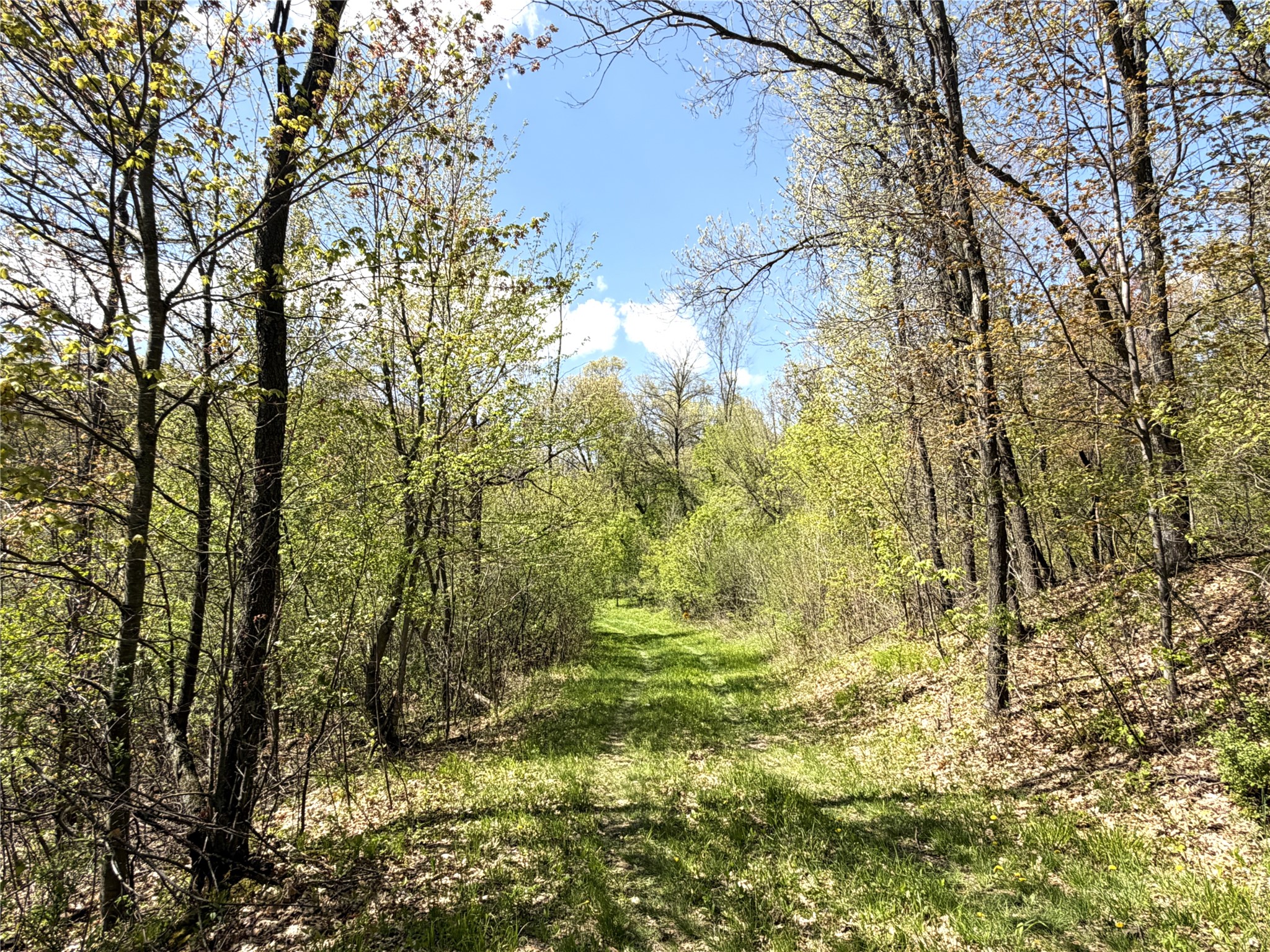 125 Acres Steig Coulee Road Property Photo 10