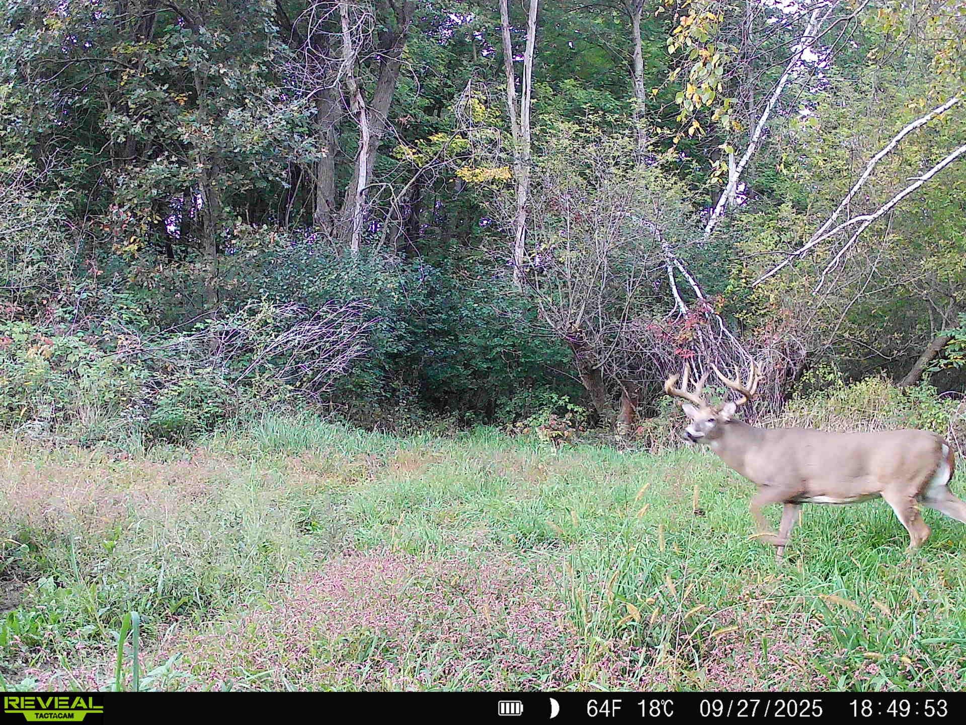 125 Acres Steig Coulee Road Property Photo 11