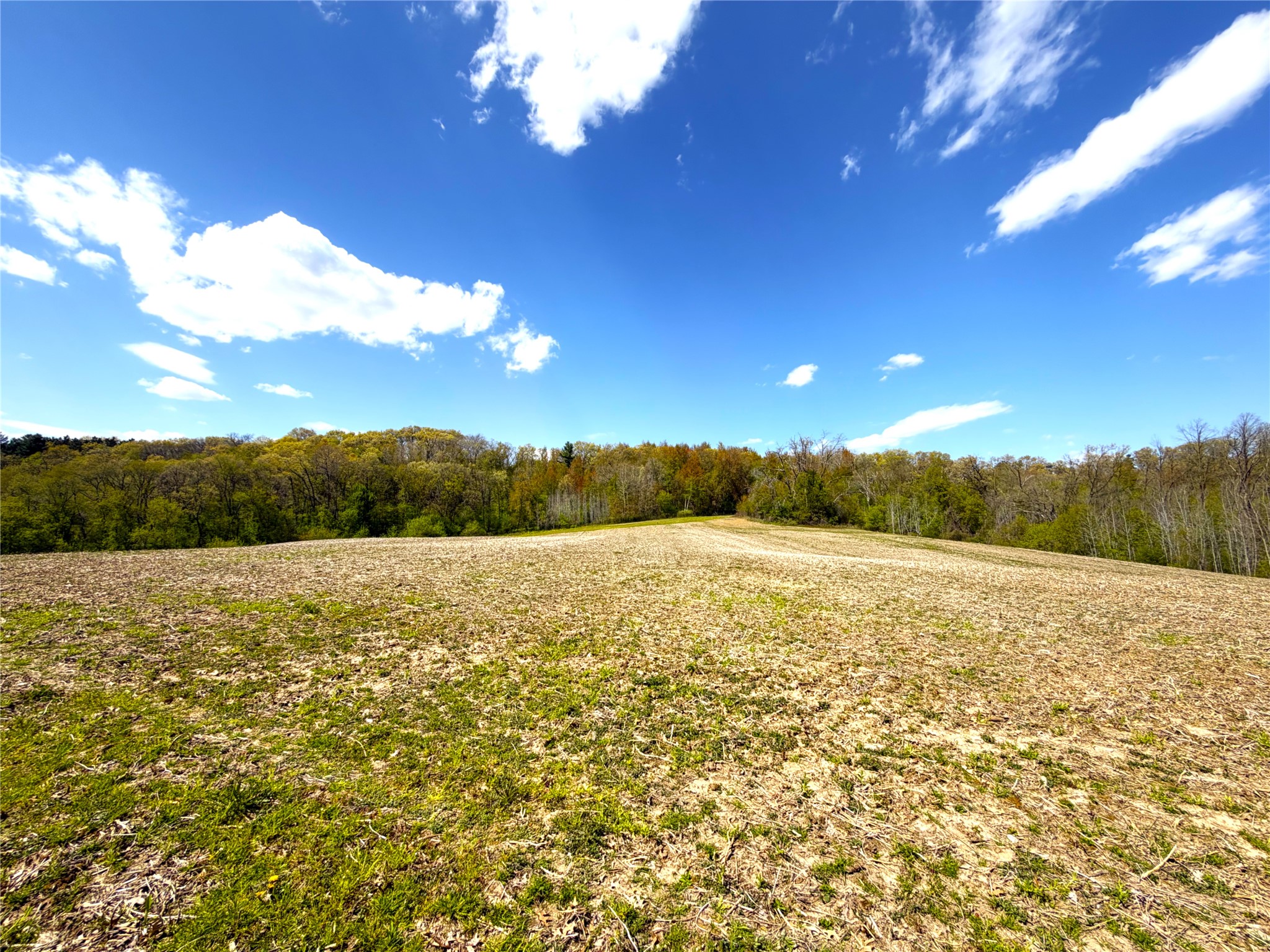125 Acres Steig Coulee Road Property Photo 14
