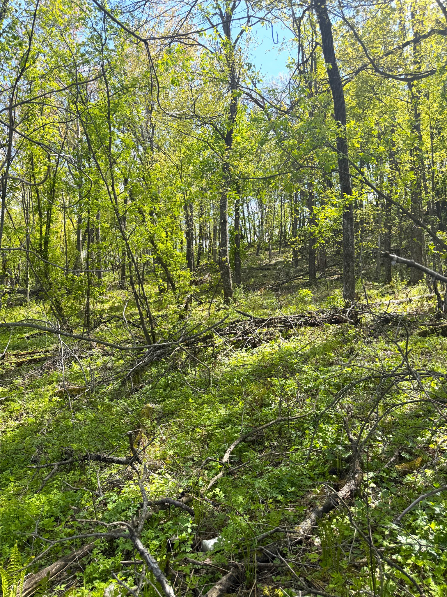 125 Acres Steig Coulee Road Property Photo 15