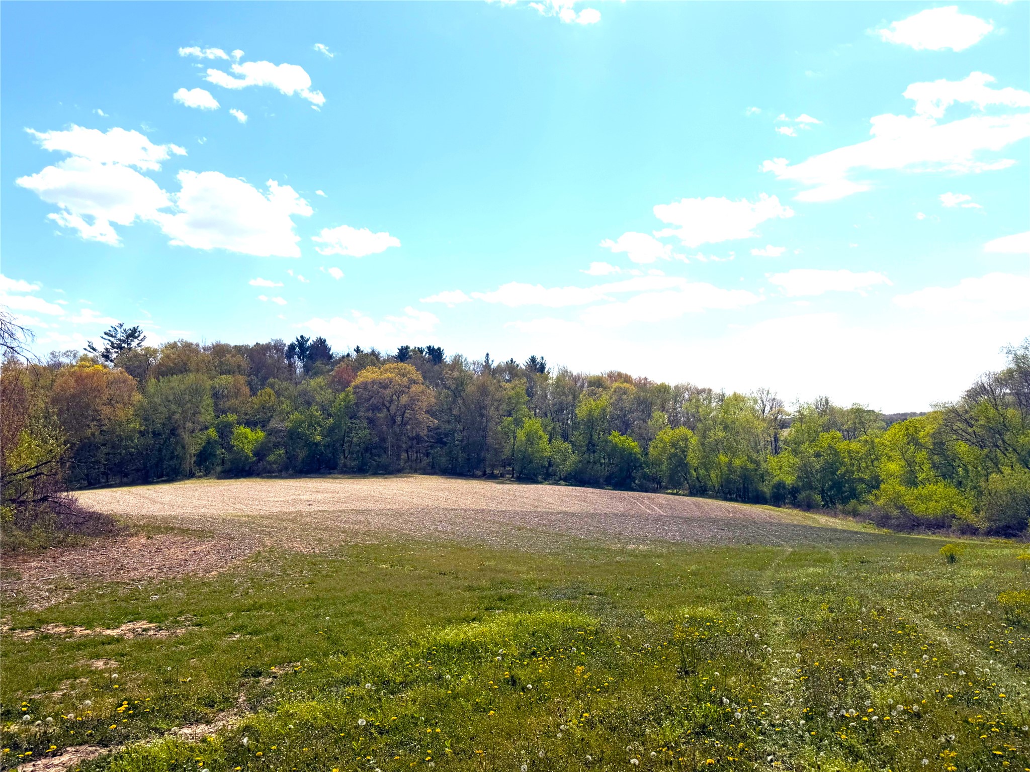 125 Acres Steig Coulee Road Property Photo 29