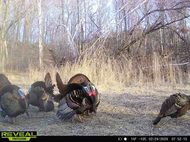 125 Acres Steig Coulee Road Property Photo 33