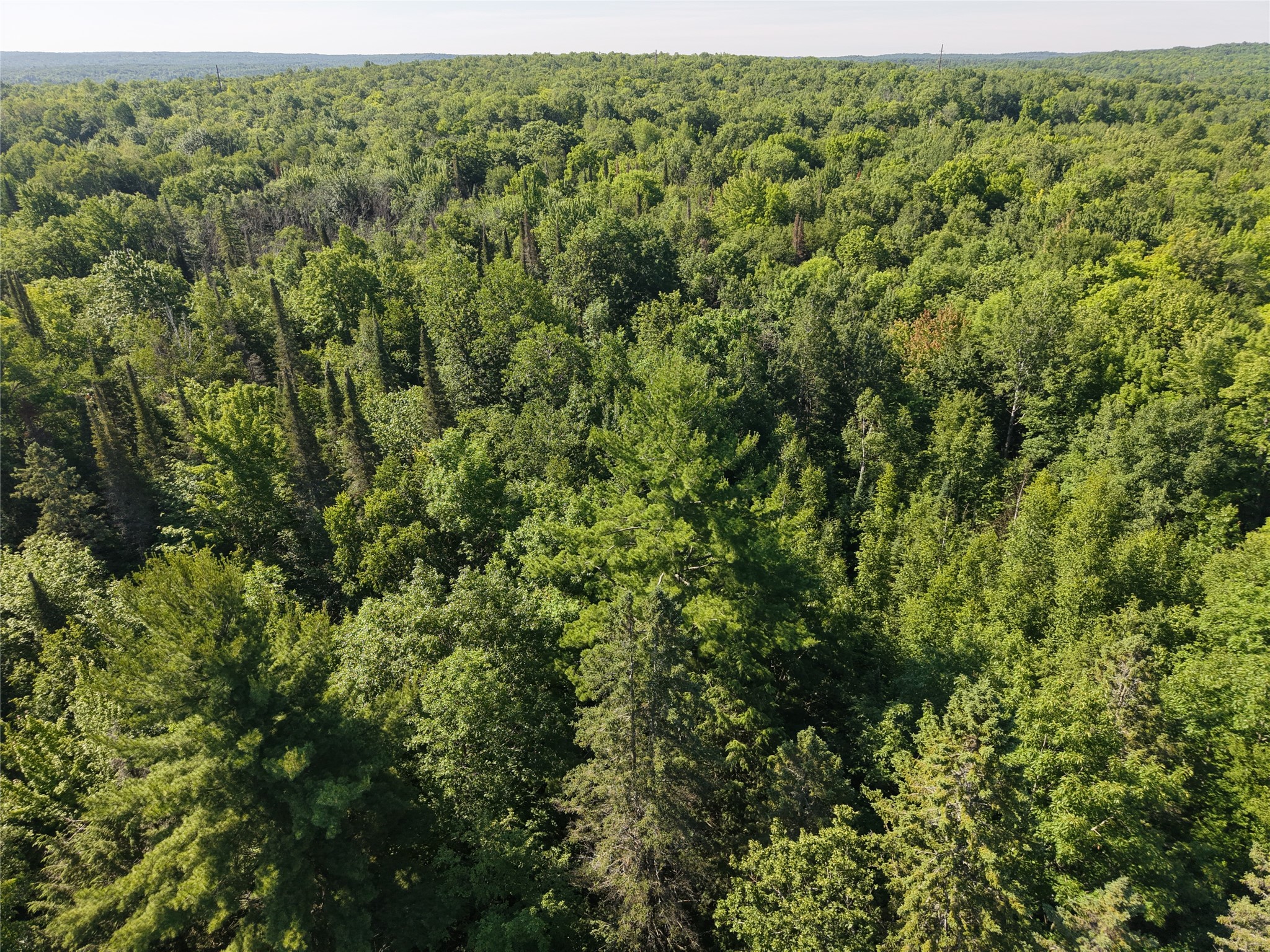 00 Us Highway 63 Property Photo 9