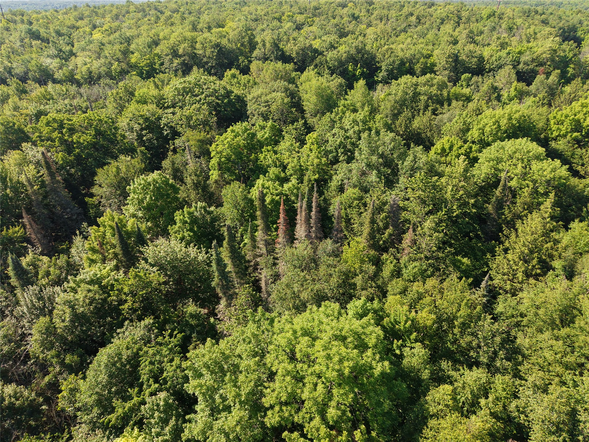 00 Us Highway 63 Property Photo 10