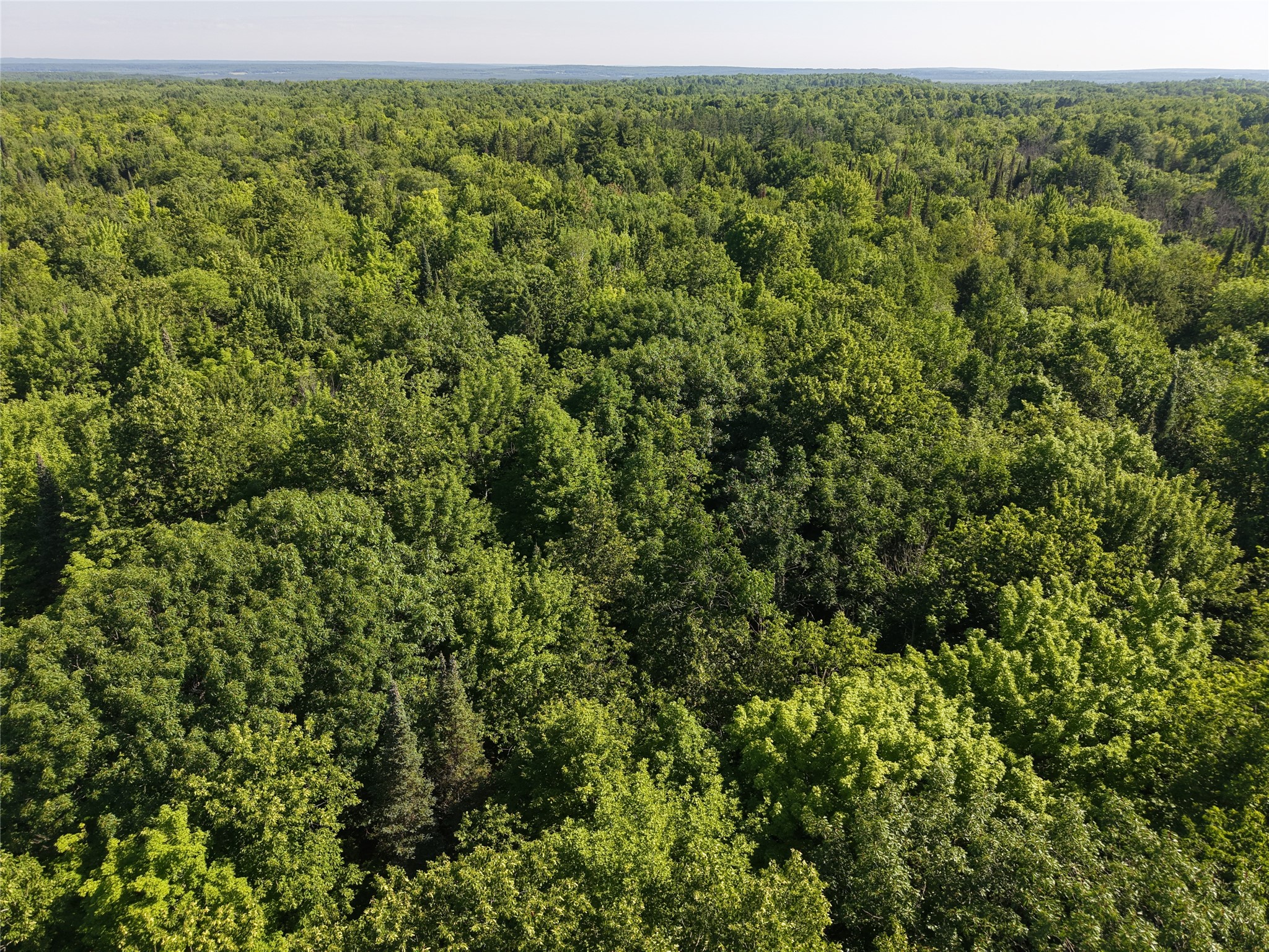 00 Us Highway 63 Property Photo 12