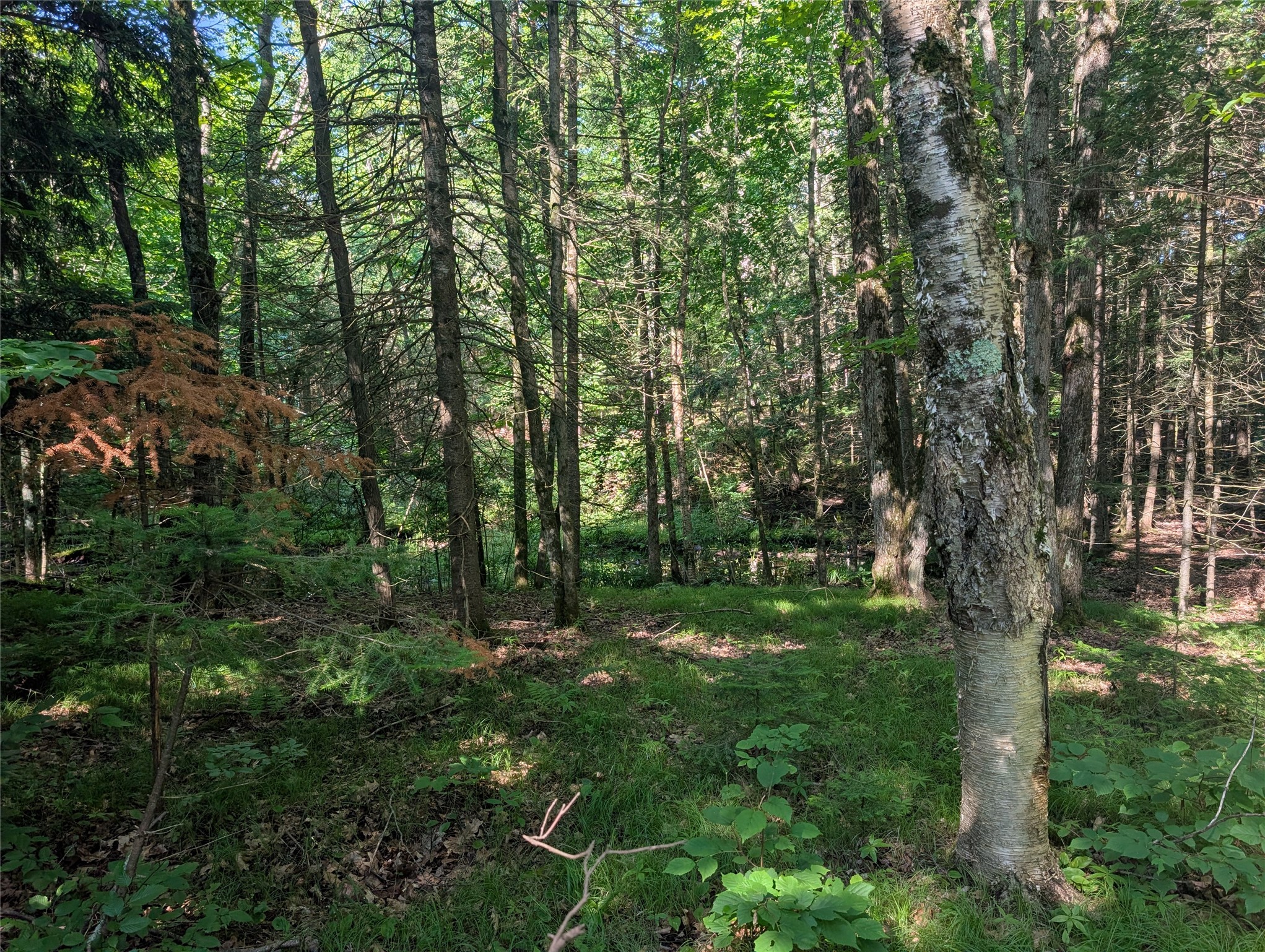 00 Us Highway 63 Property Photo 20