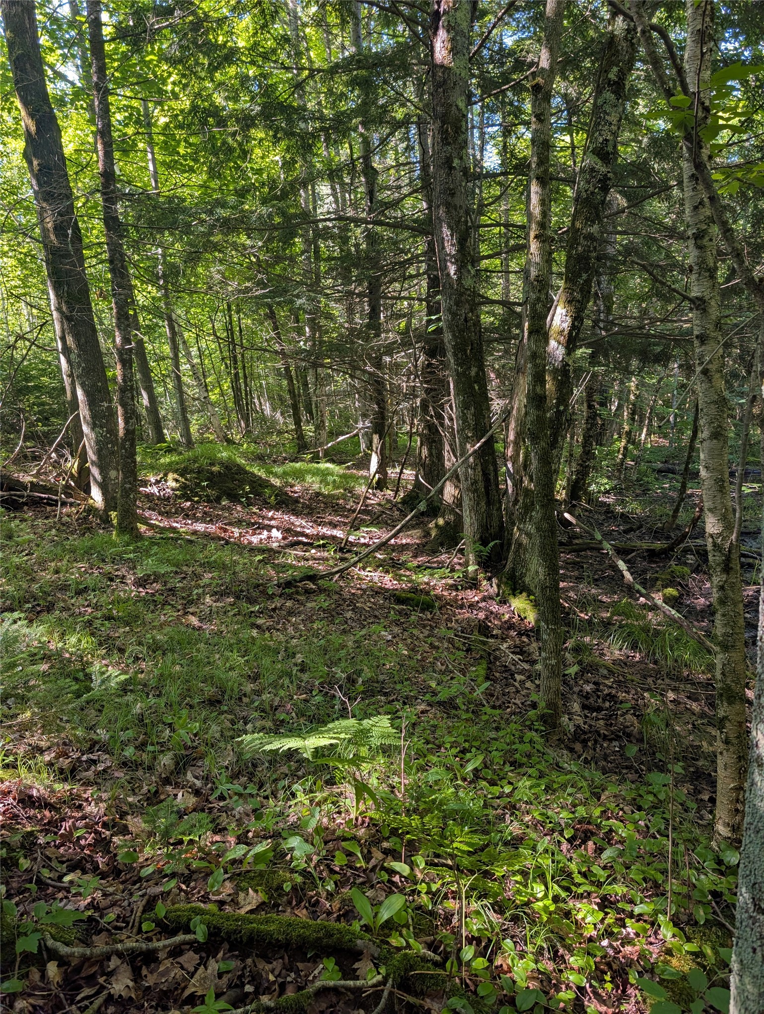 00 Us Highway 63 Property Photo 22