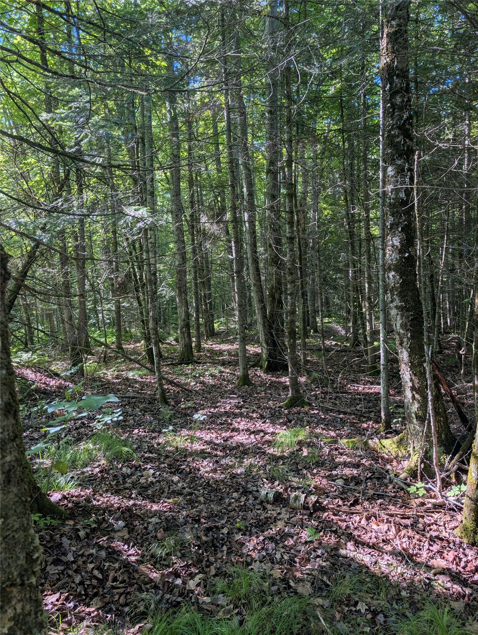 00 Us Highway 63 Property Photo 23