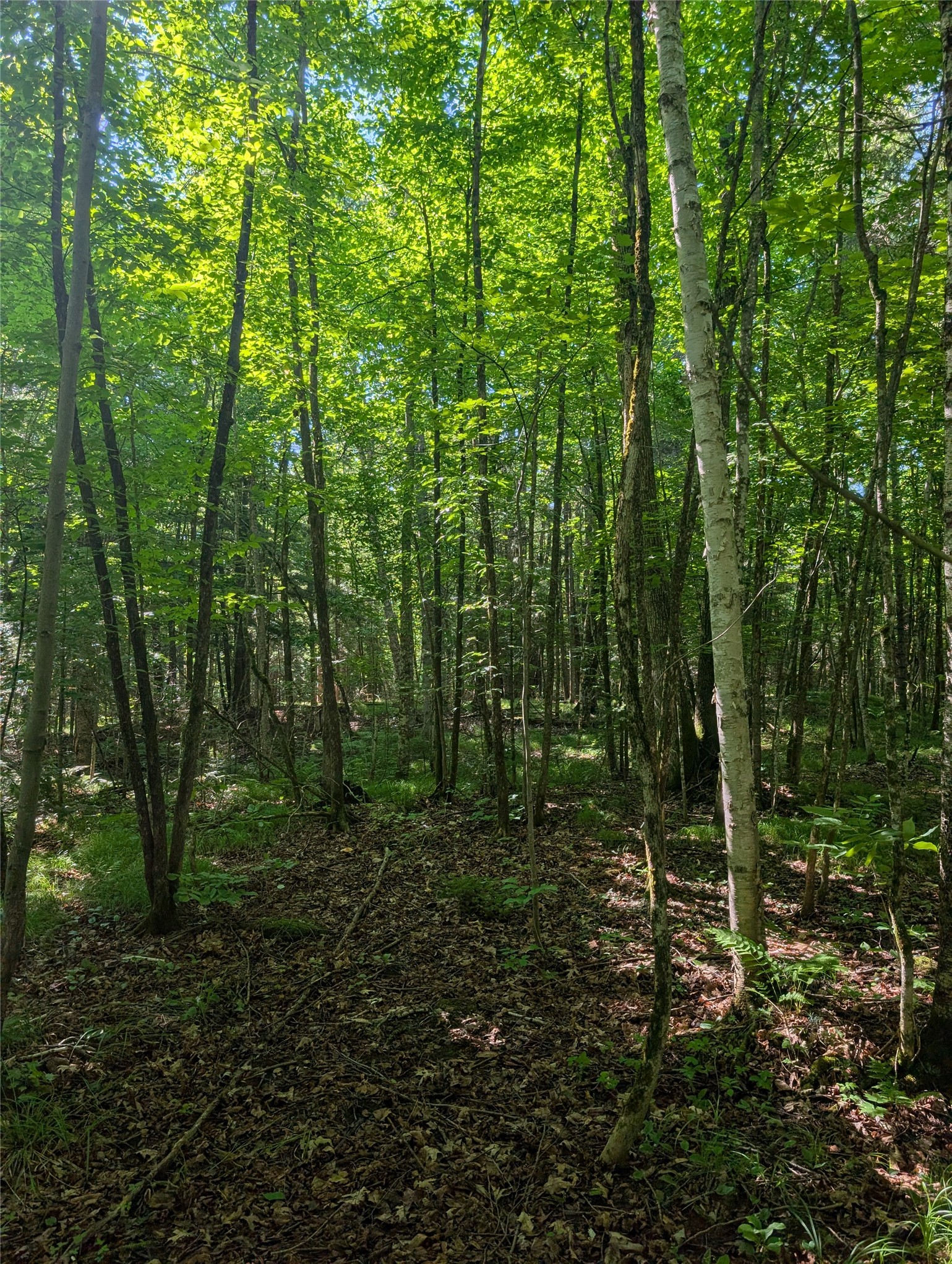 00 Us Highway 63 Property Photo 25