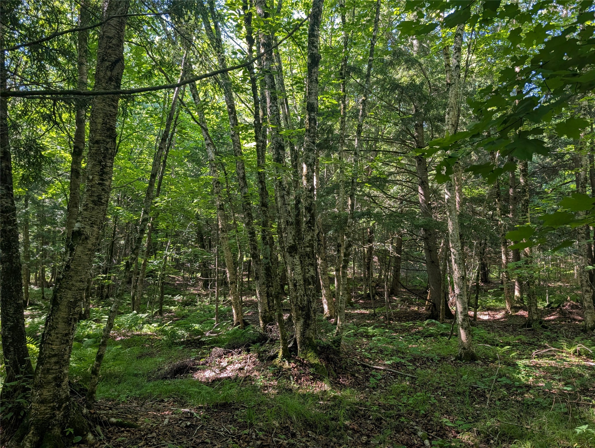 00 Us Highway 63 Property Photo 28