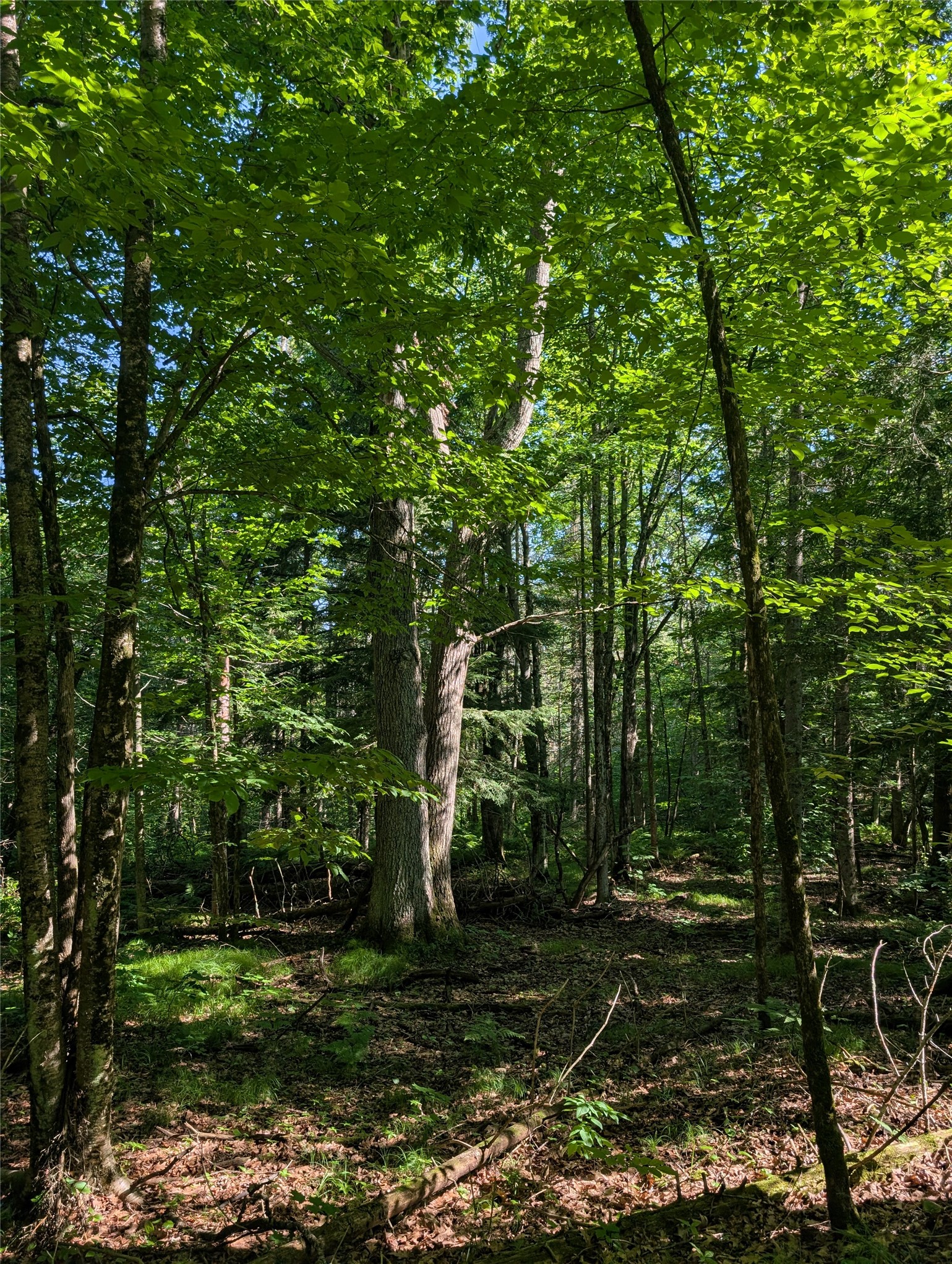 00 Us Highway 63 Property Photo 37