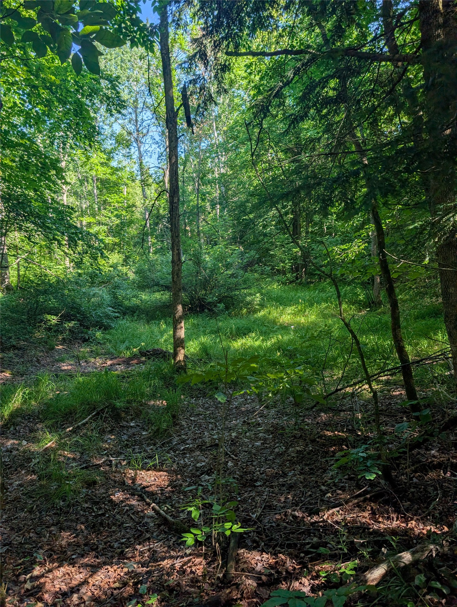 00 Us Highway 63 Property Photo 39