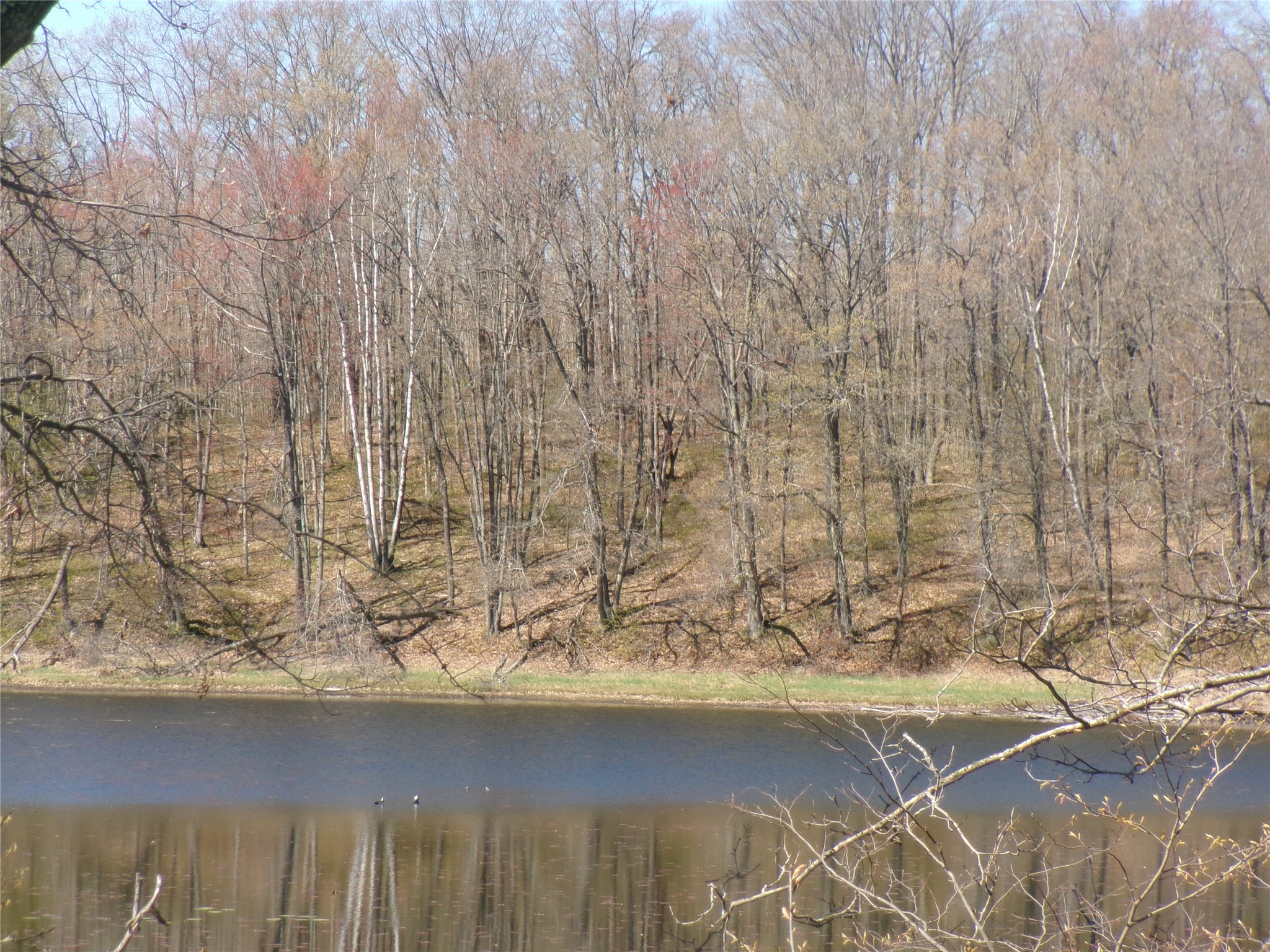 Tax Id 35410 Moody Lake Road Property Photo 1
