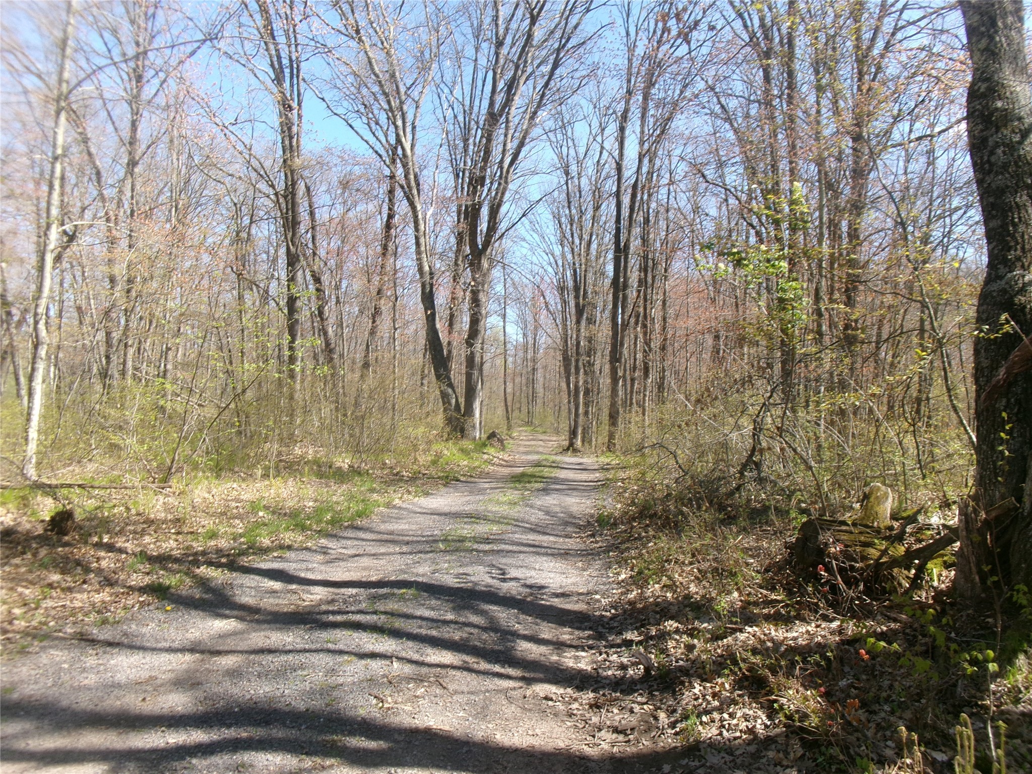 Tax Id 35410 Moody Lake Road Property Photo 4