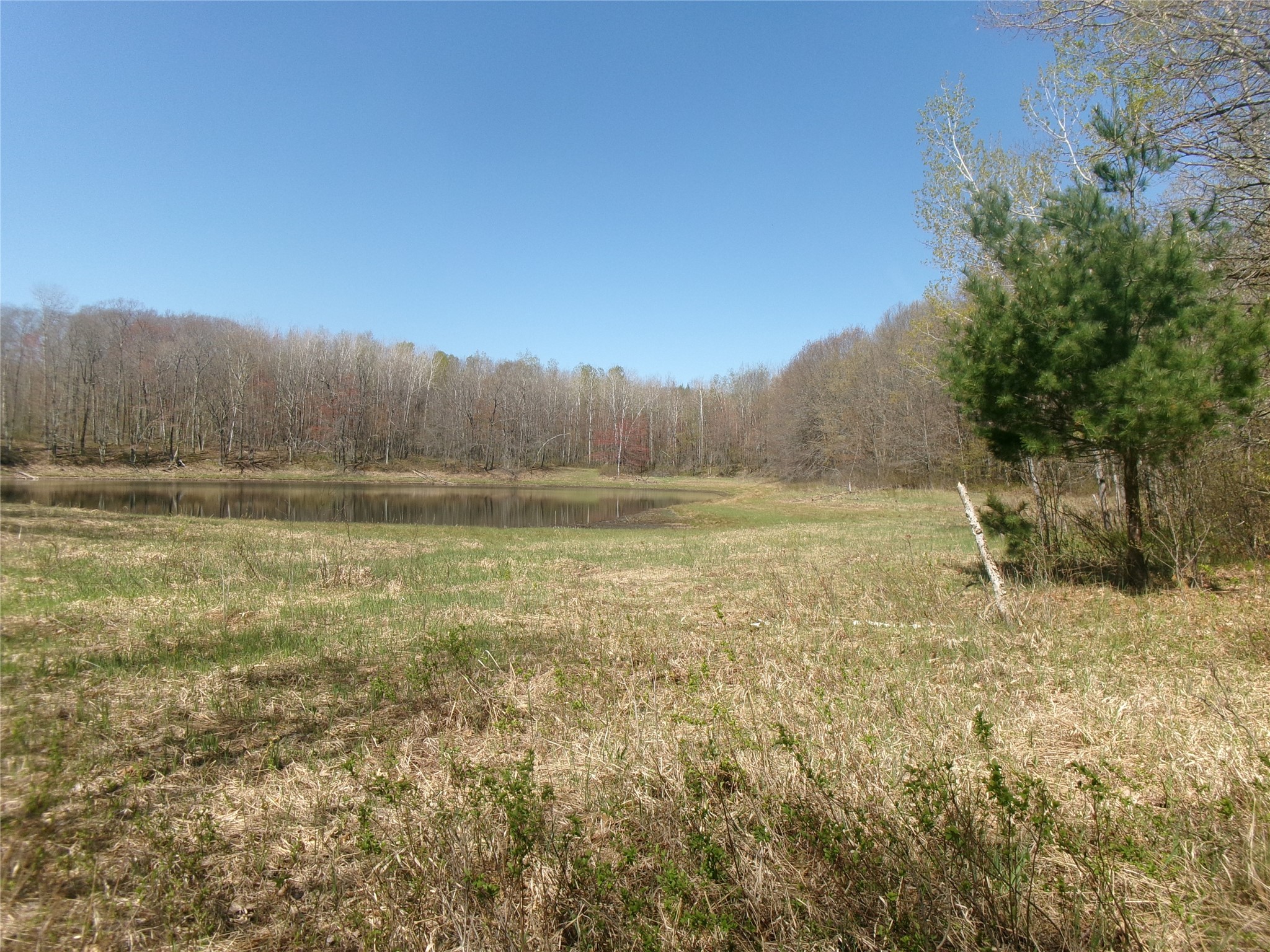Tax Id 35410 Moody Lake Road Property Photo 5