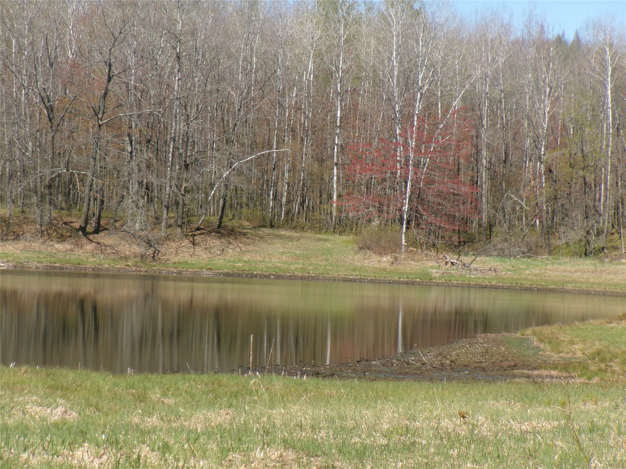 Tax Id 35410 Moody Lake Road Property Photo 6