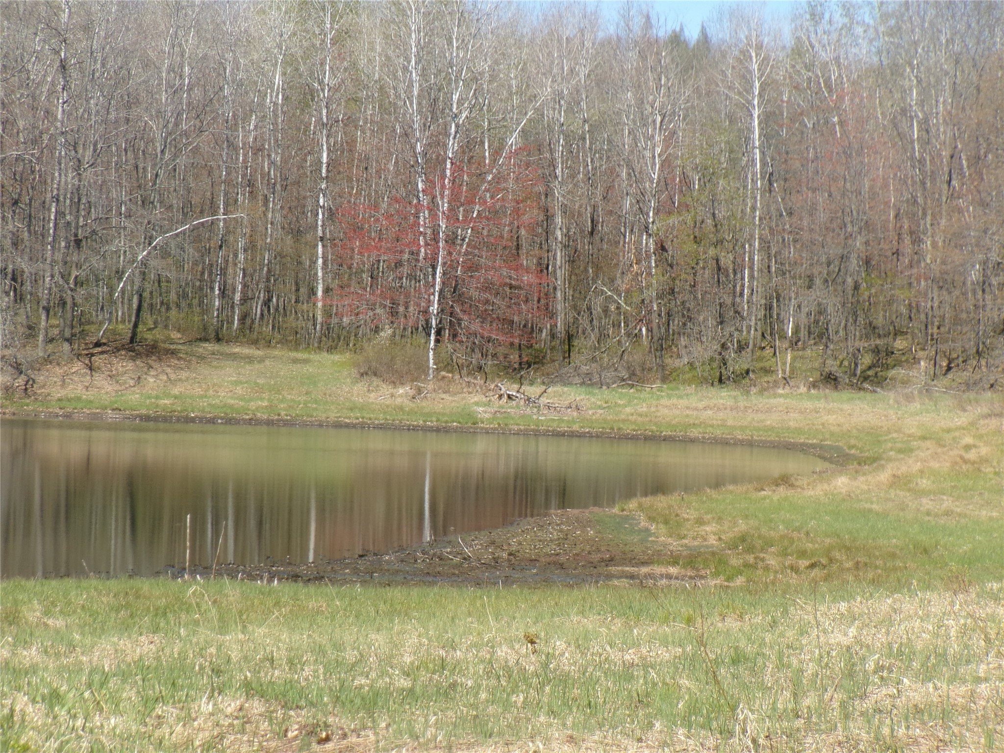 Tax Id 35410 Moody Lake Road Property Photo 7