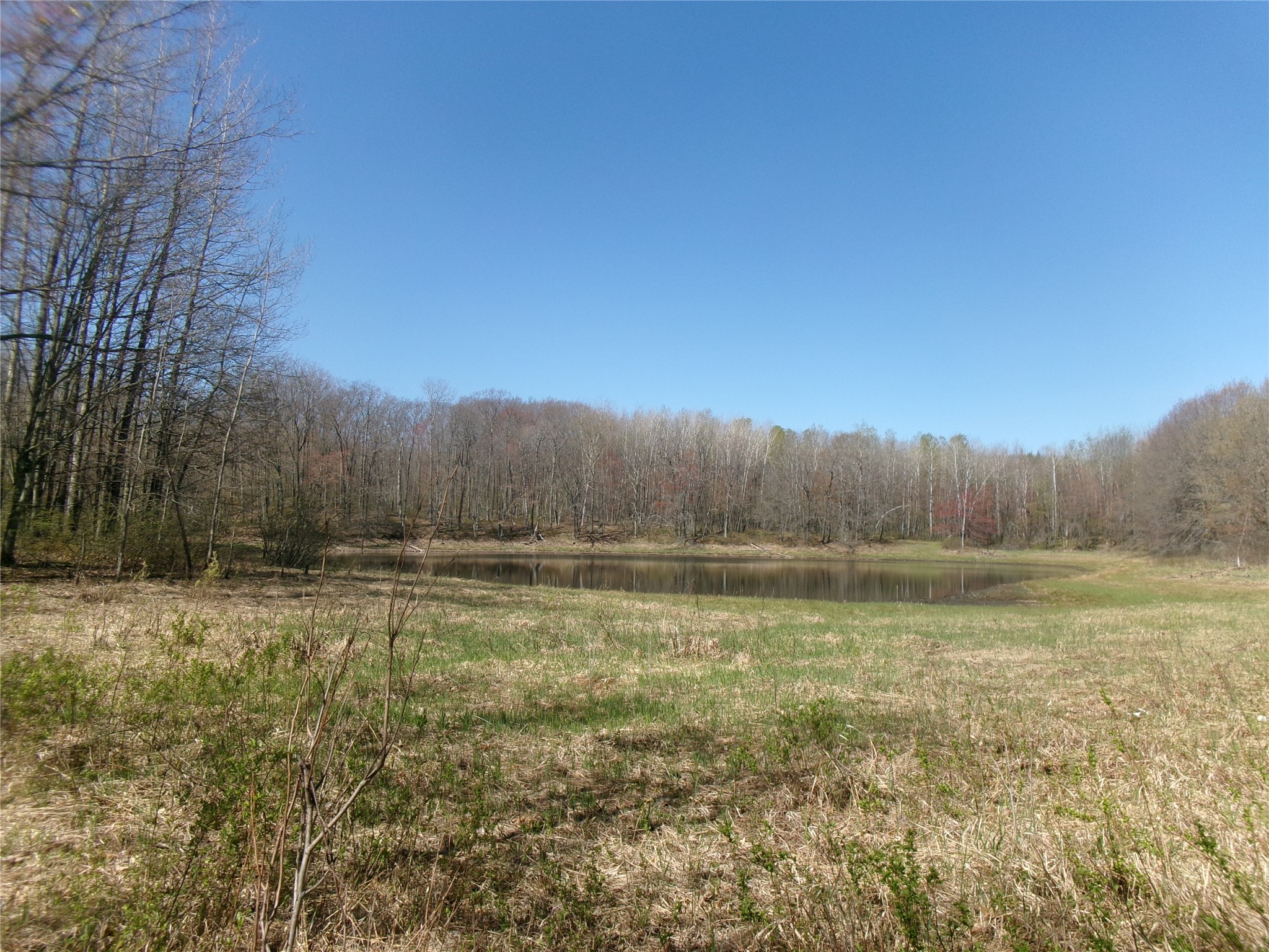 Tax Id 35410 Moody Lake Road Property Photo 8
