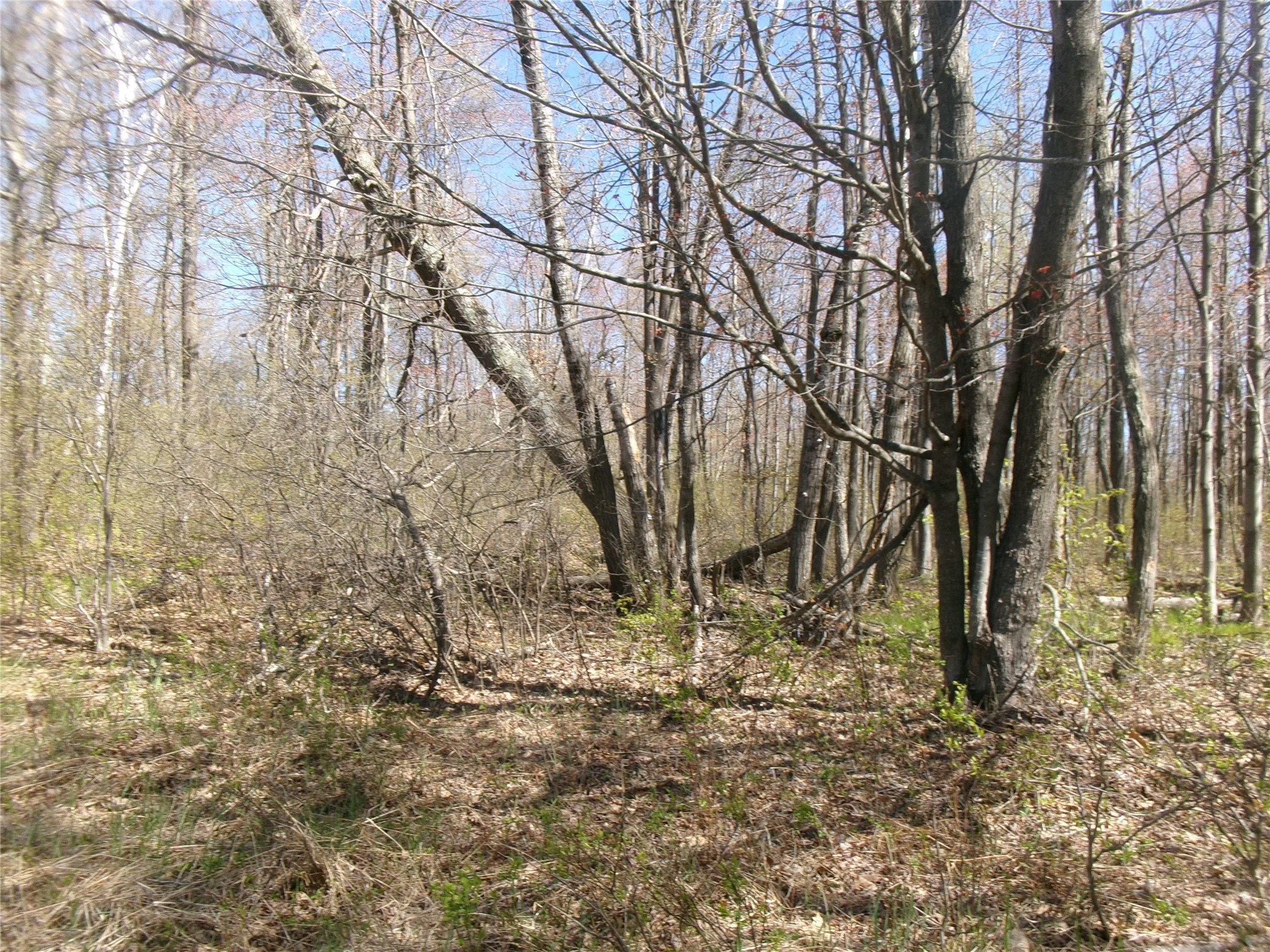 Tax Id 35410 Moody Lake Road Property Photo 9