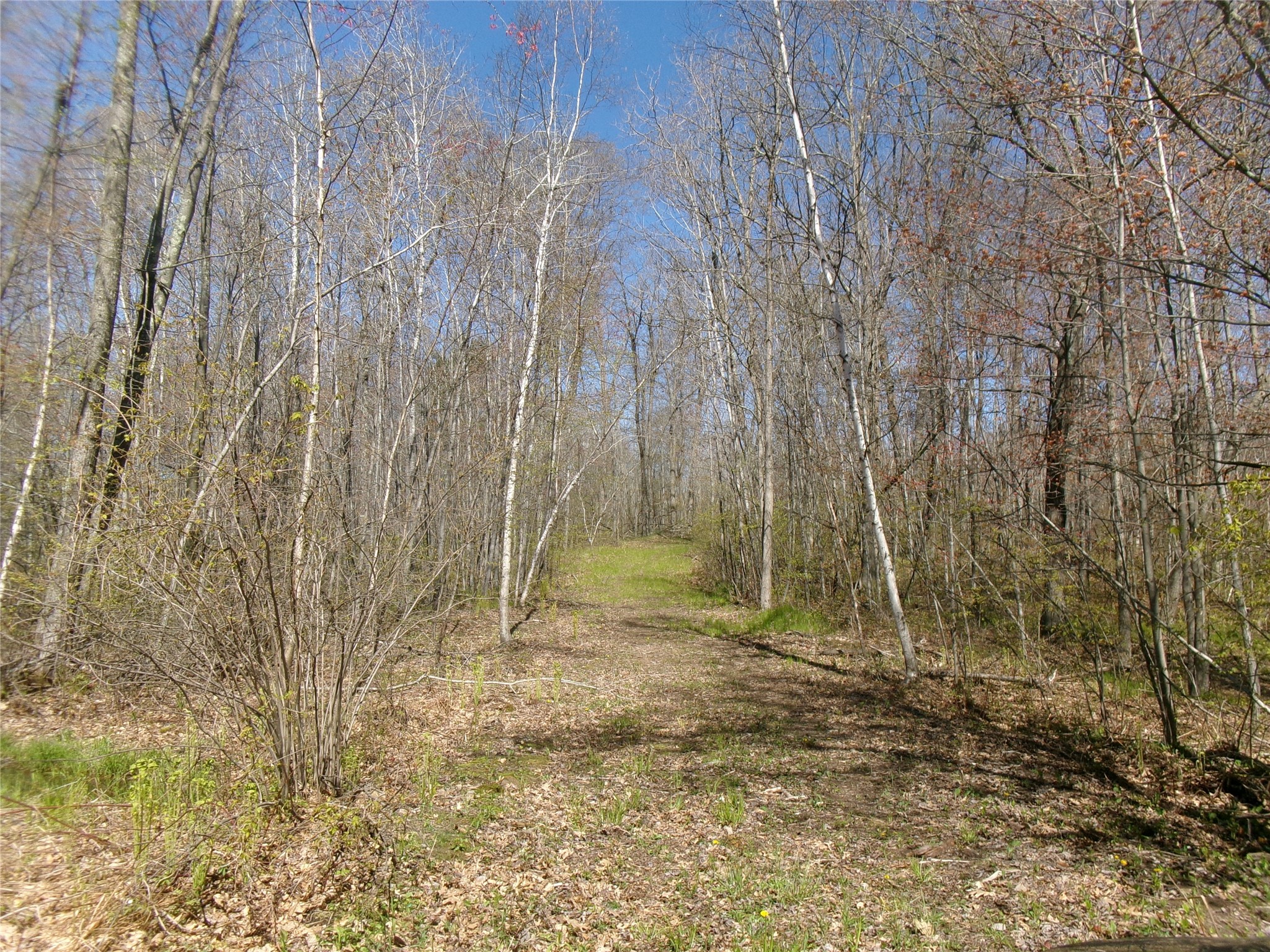 Tax Id 35410 Moody Lake Road Property Photo 10