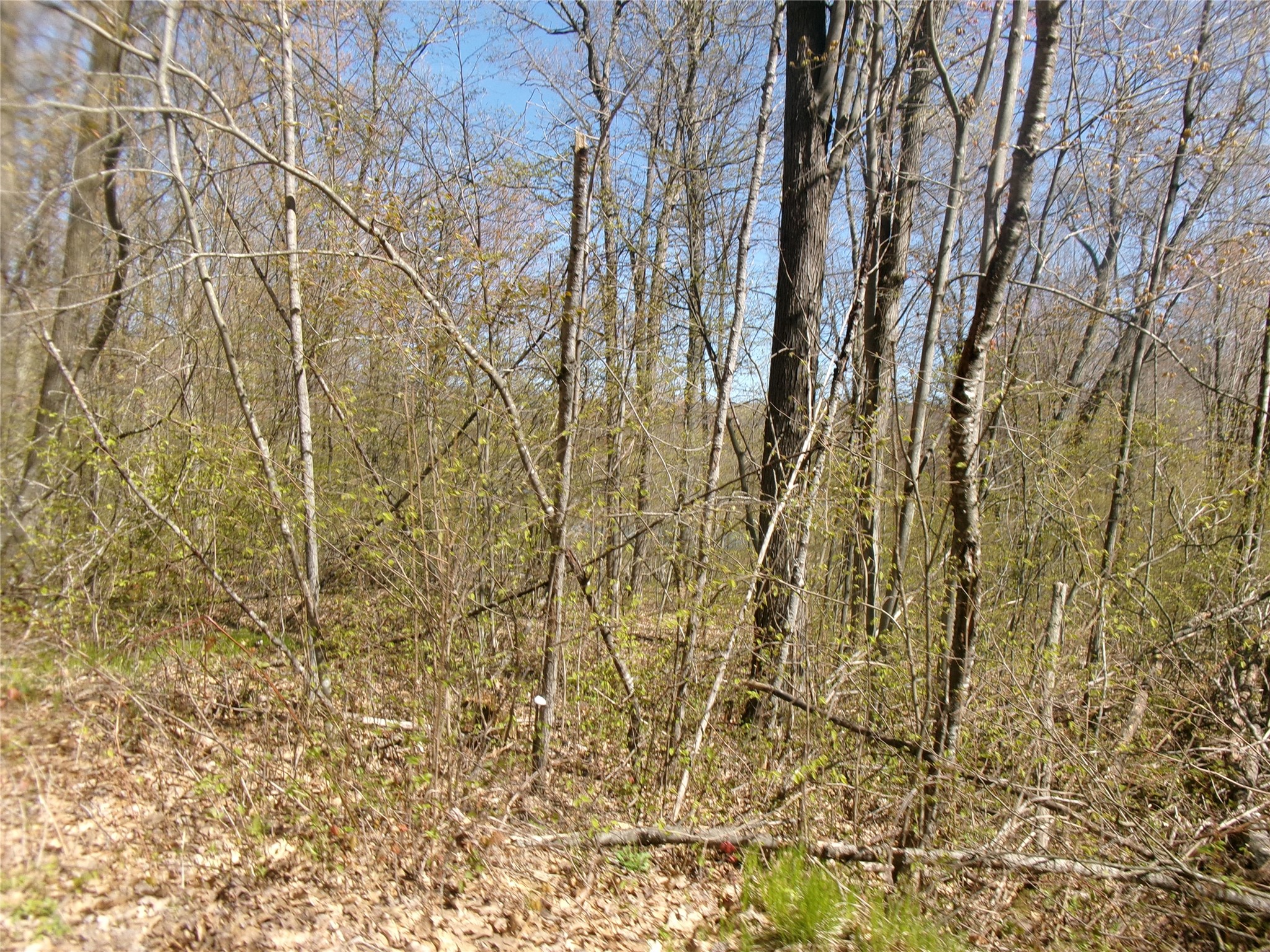 Tax Id 35410 Moody Lake Road Property Photo 12