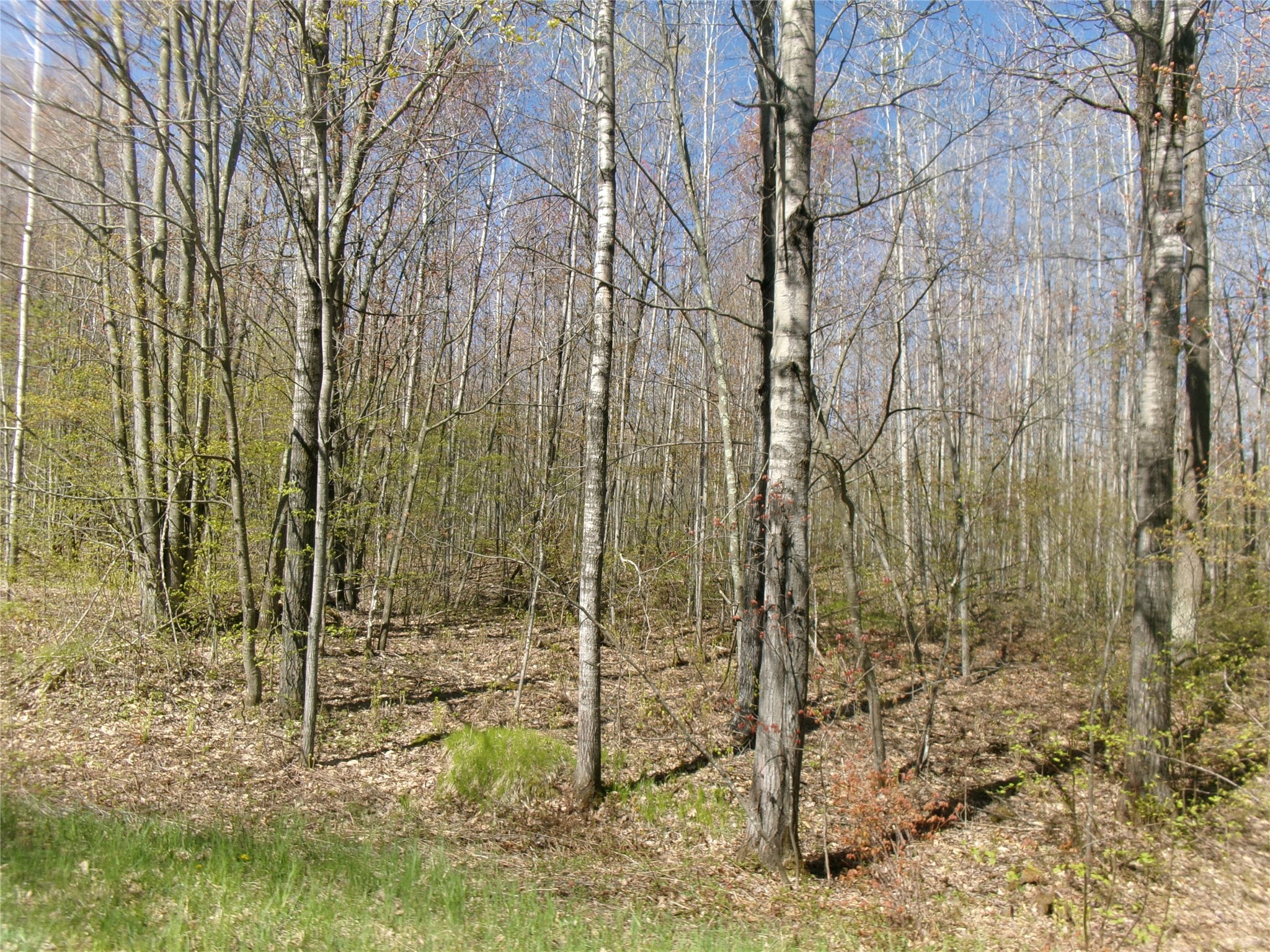 Tax Id 35410 Moody Lake Road Property Photo 14