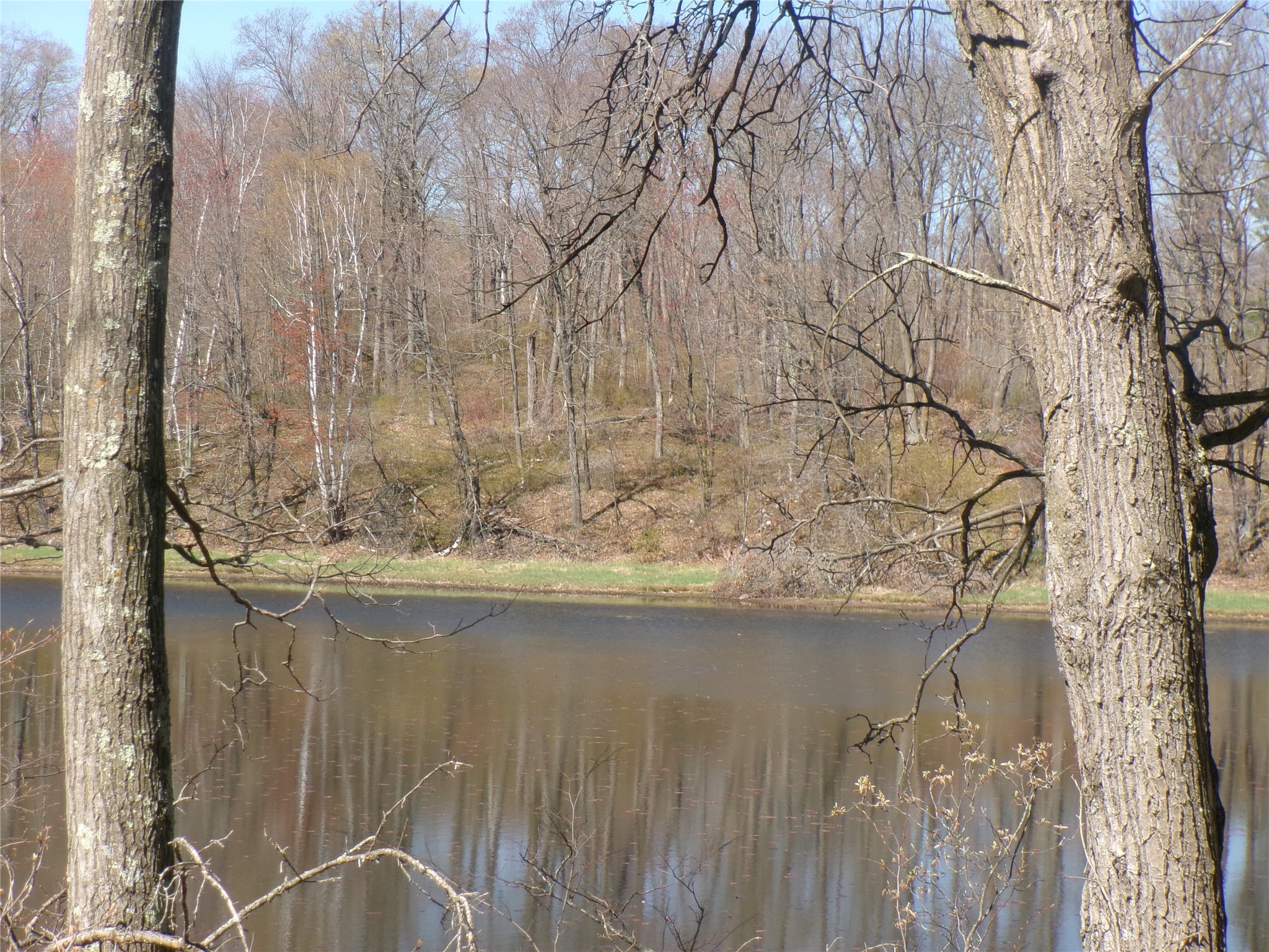 Tax Id 35410 Moody Lake Road Property Photo 15