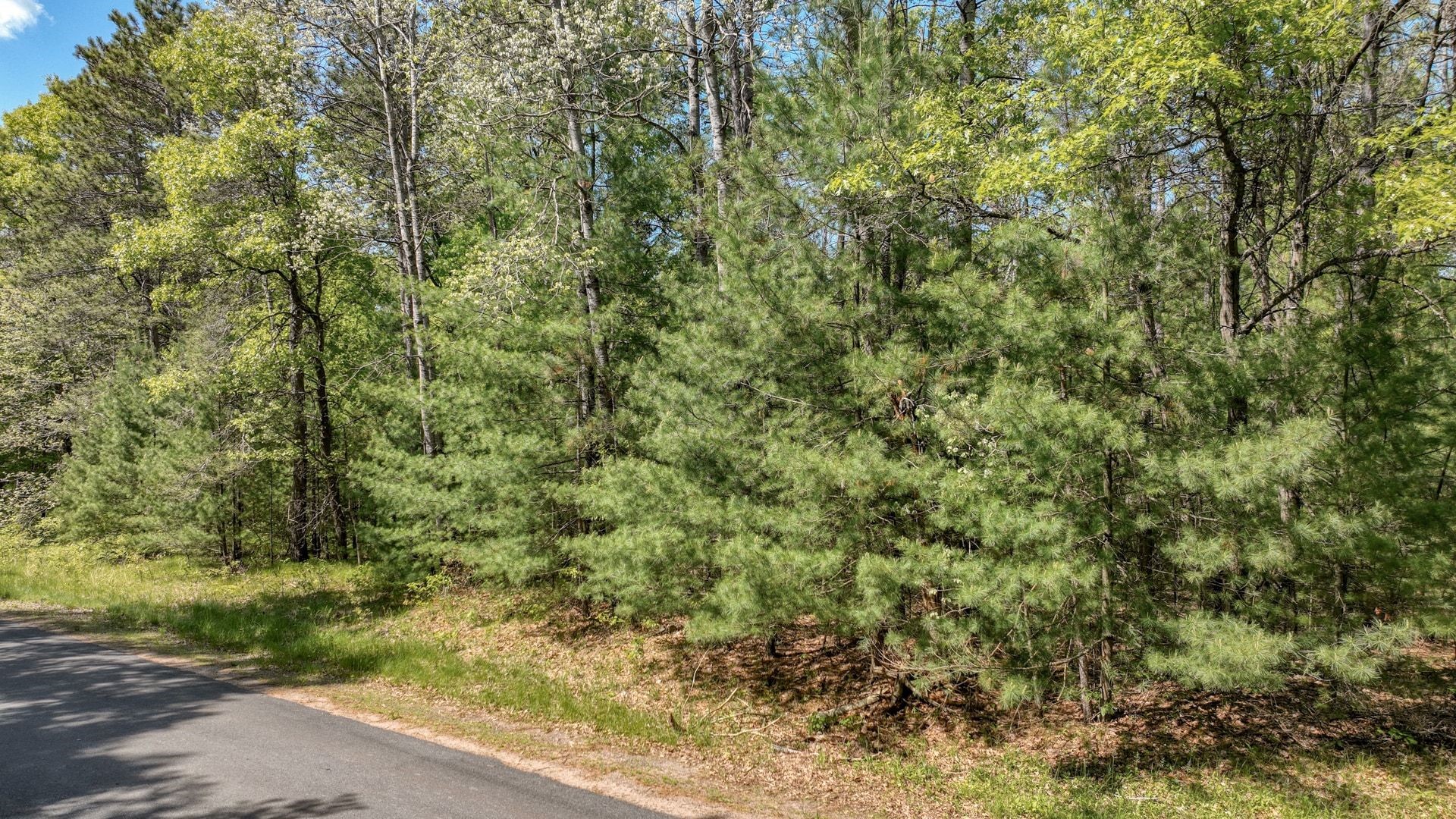 8667 Lakeside Road Property Photo 8