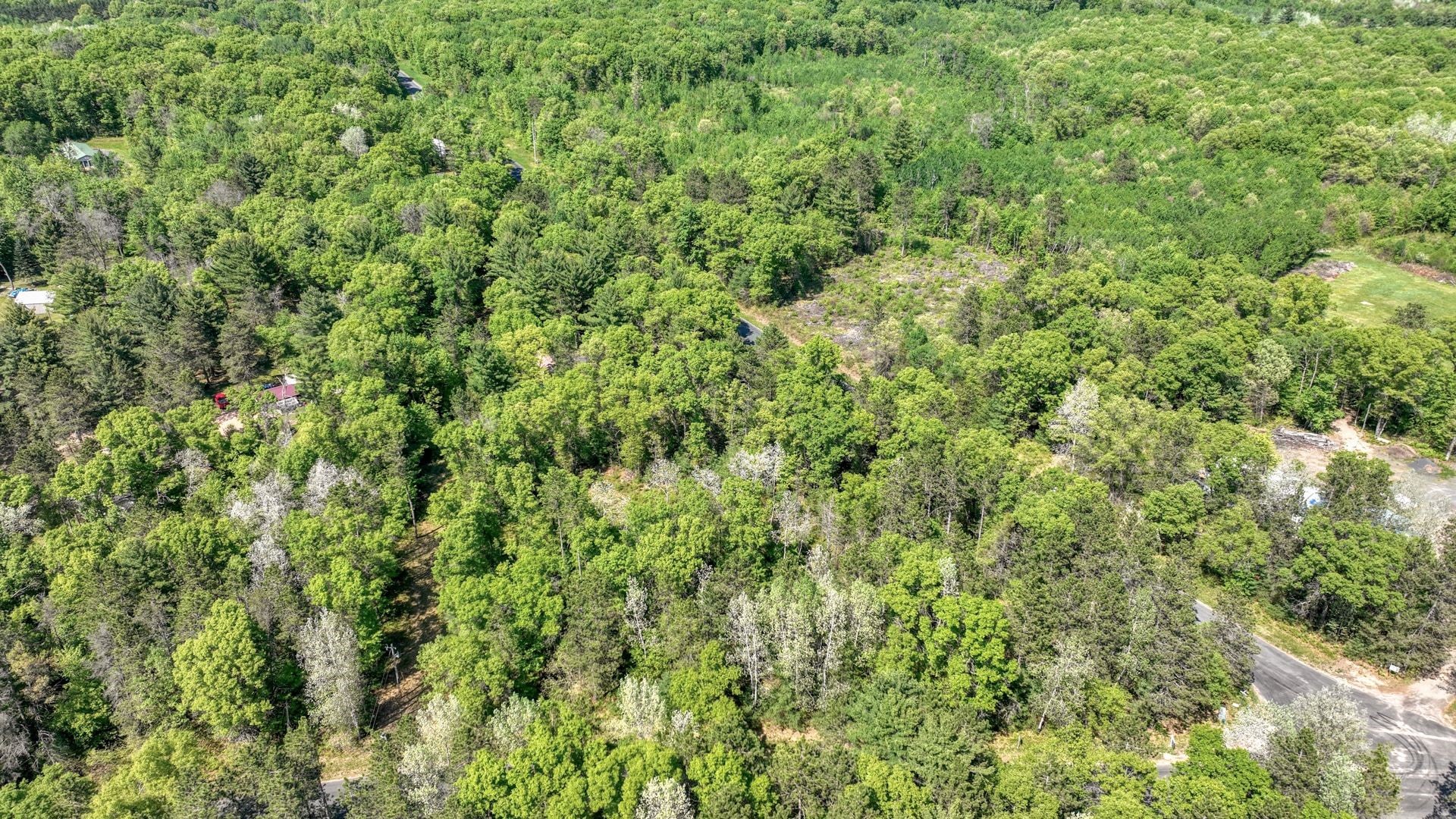 8667 Lakeside Road Property Photo 11