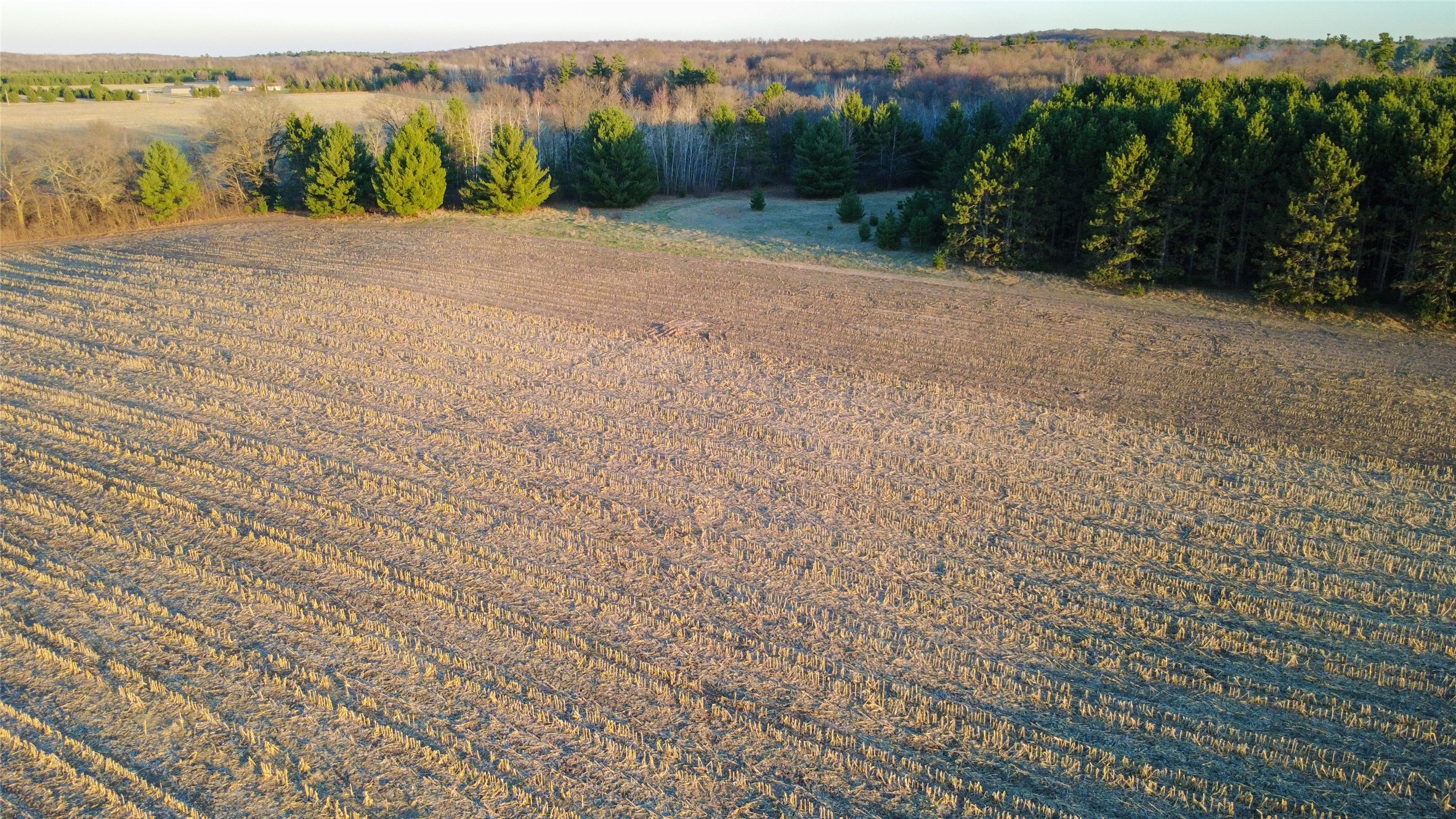 Lot 2 115th Street Property Photo 11