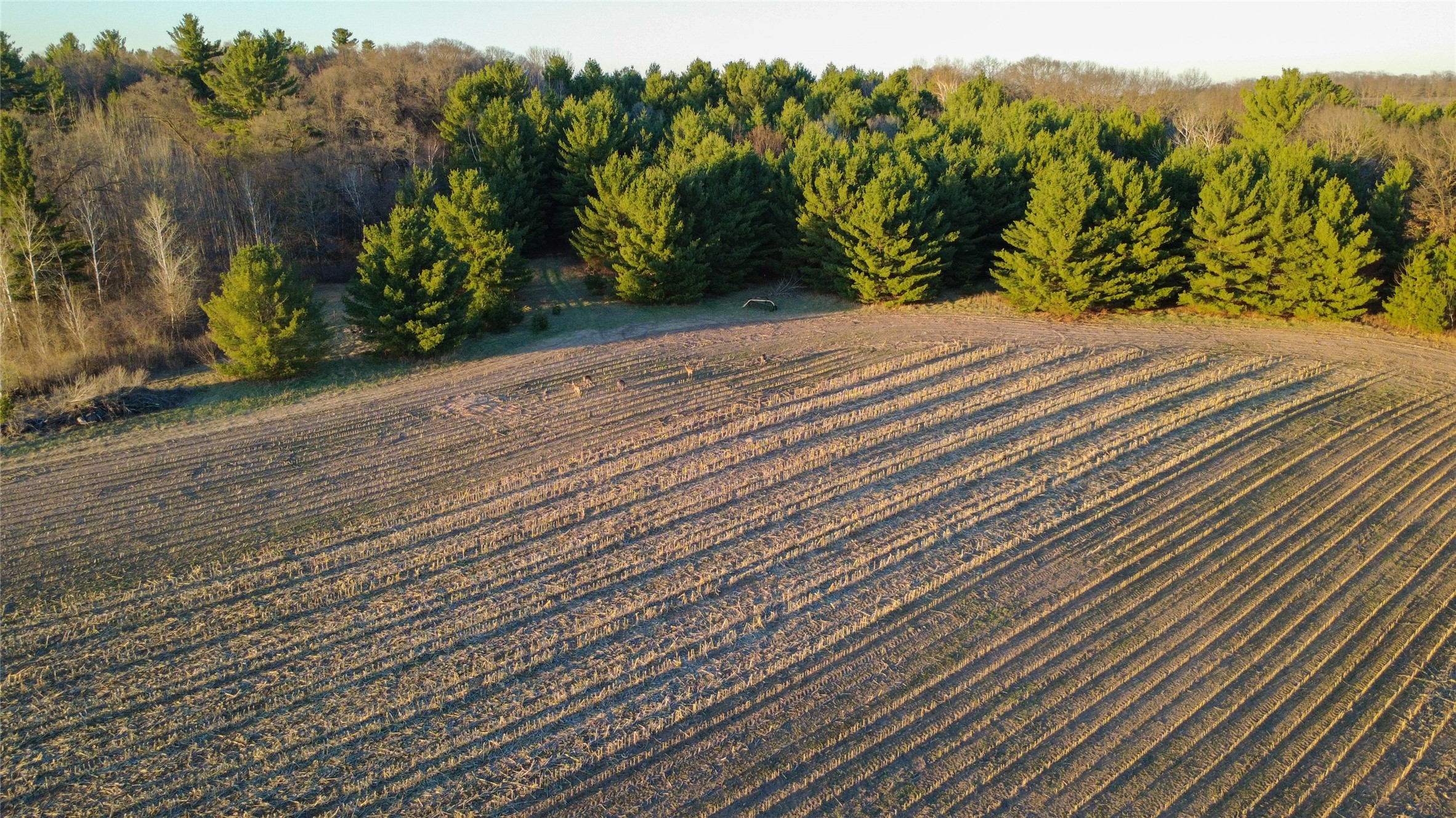 Lot 4 115th Street Property Photo 11