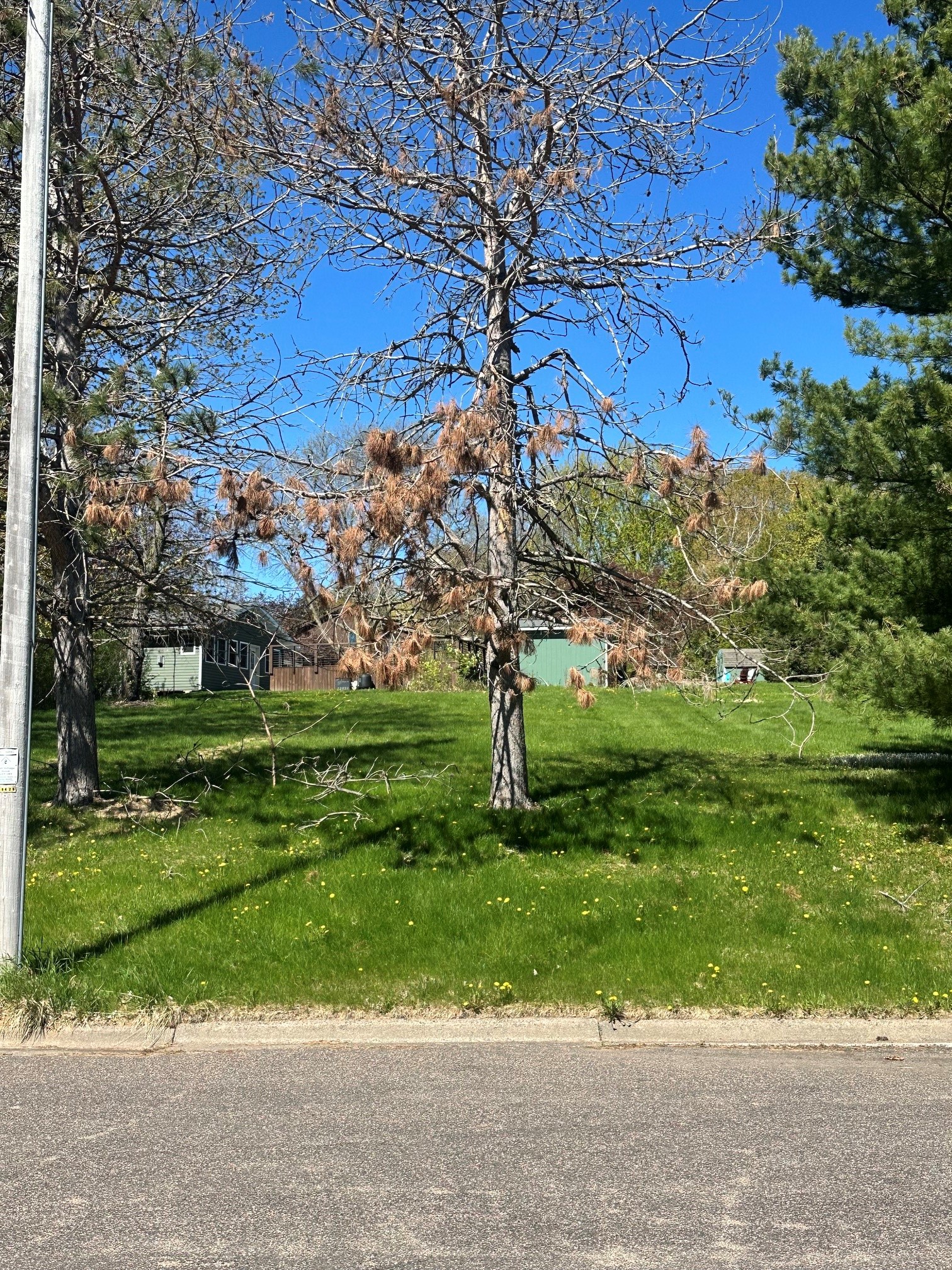 Lot 5 Havel Road Property Photo 3