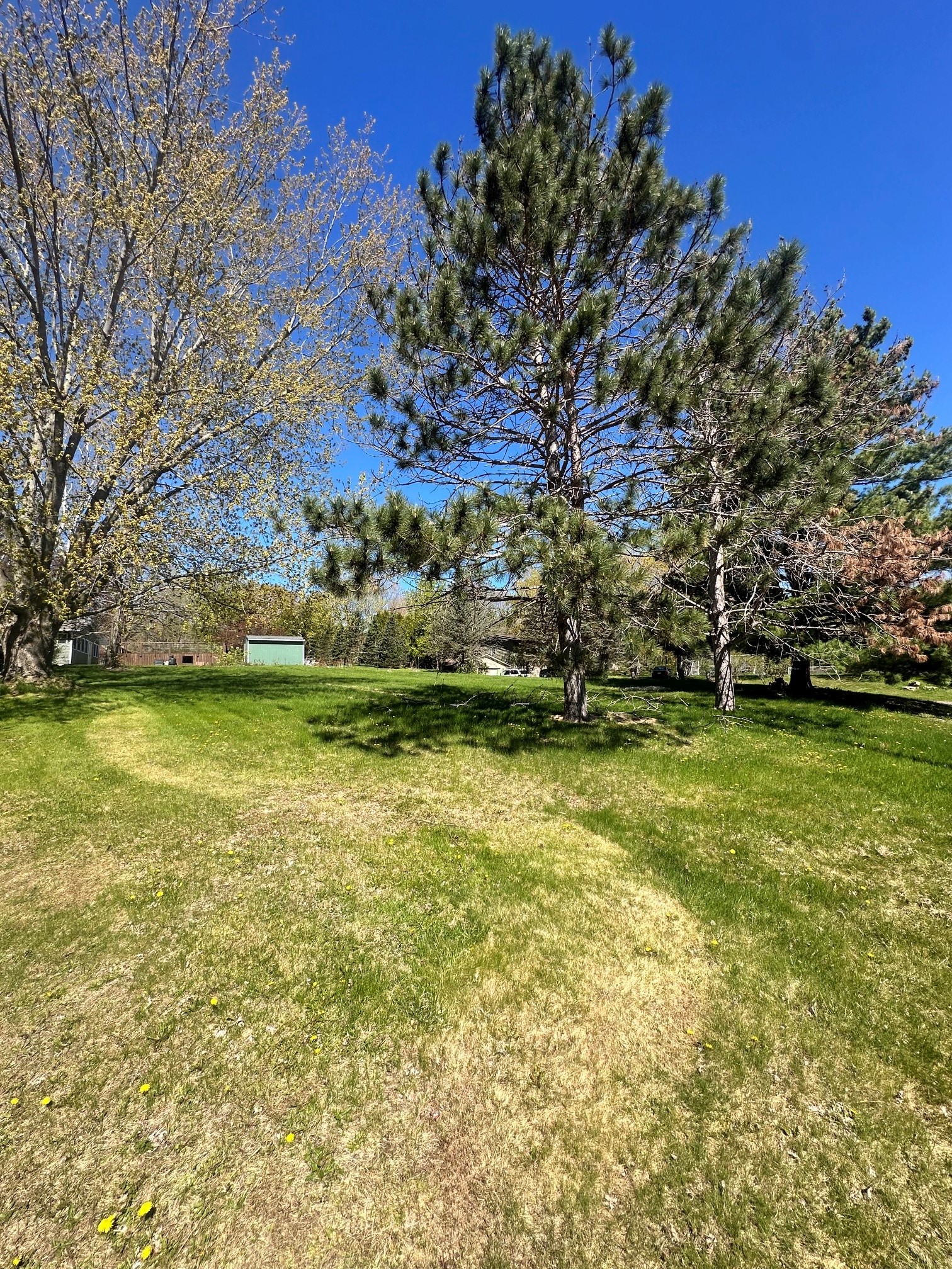Lot 5 Havel Road Property Photo 5
